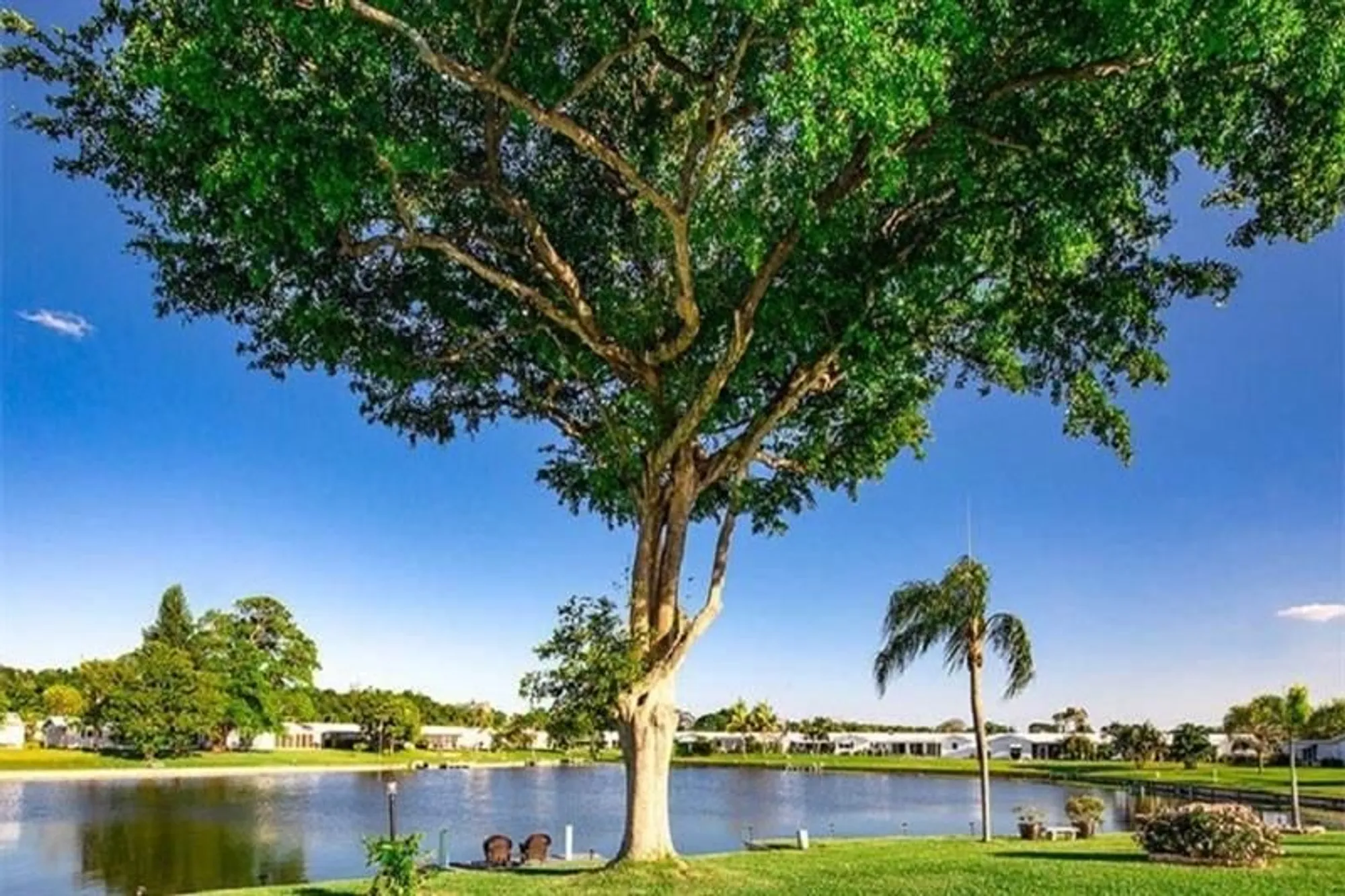 Property Slideshow image 30 of 35 | 1515 sw 21st st, Boynton Beach, FL, 33426