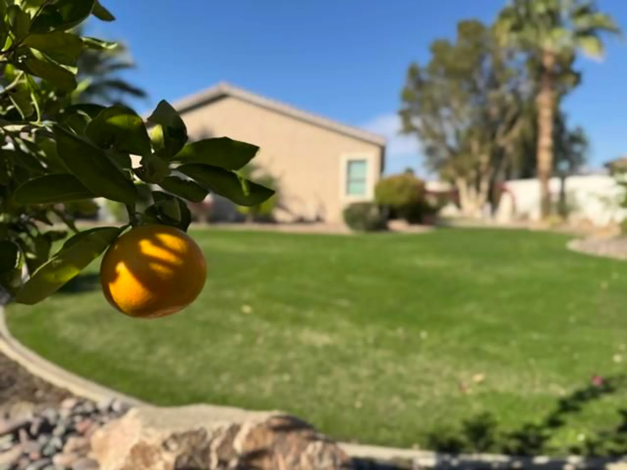 Property Slideshow image 88 of 113 | 80372 camino san lucas, Indio, CA, 92203