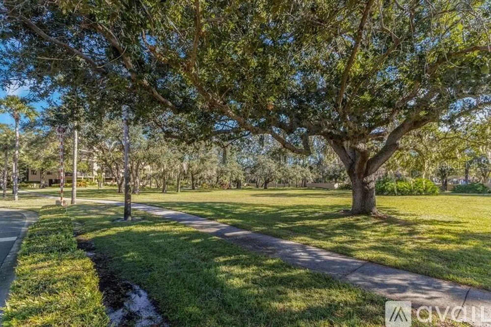 Property Slideshow image 20 of 22 | 3062 eastland blvd unit 407, Clearwater, FL, 33761