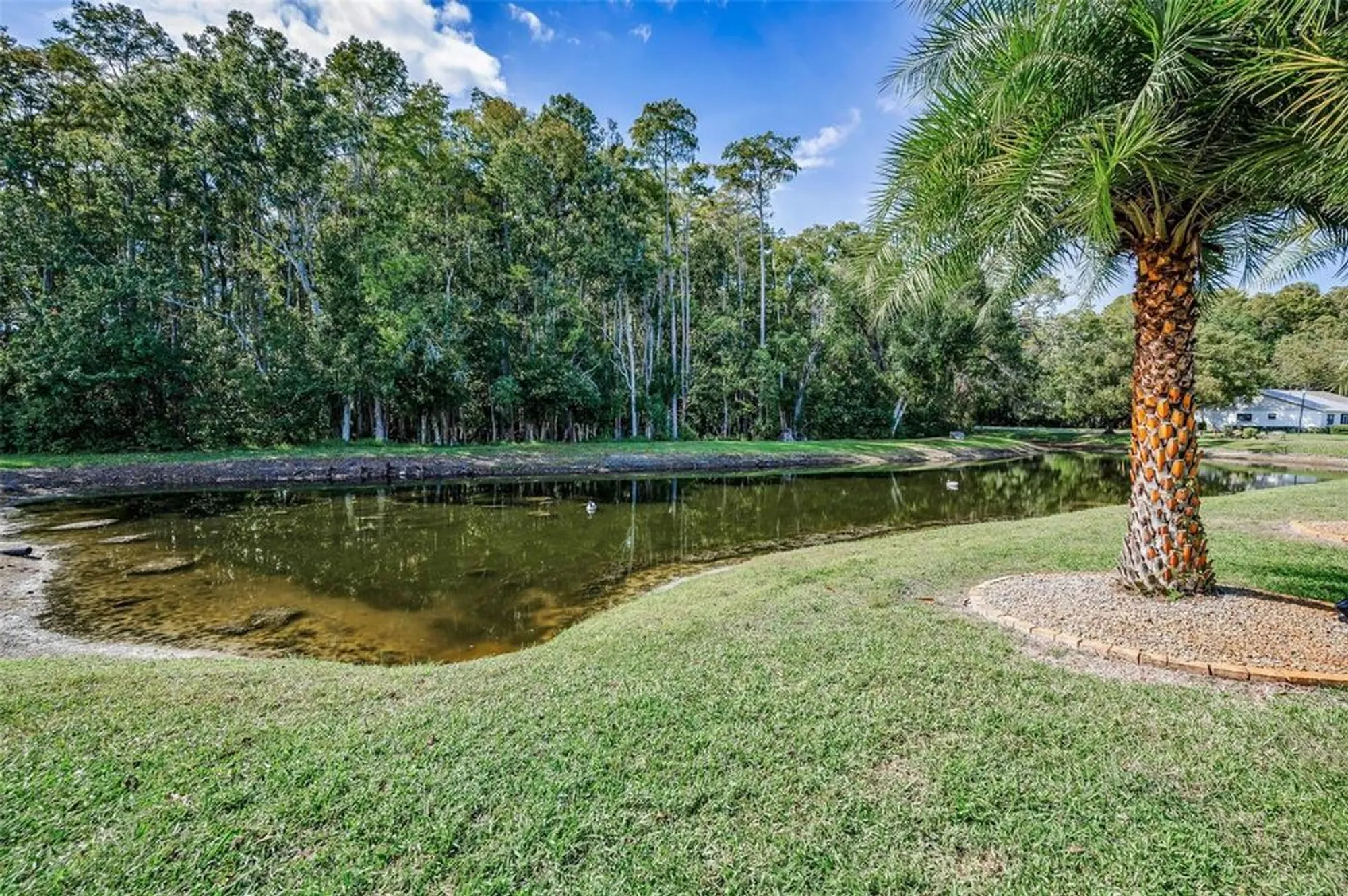 Property Slideshow image 38 of 74 | 11717 aspenwood dr, New Port Richey, FL, 34654