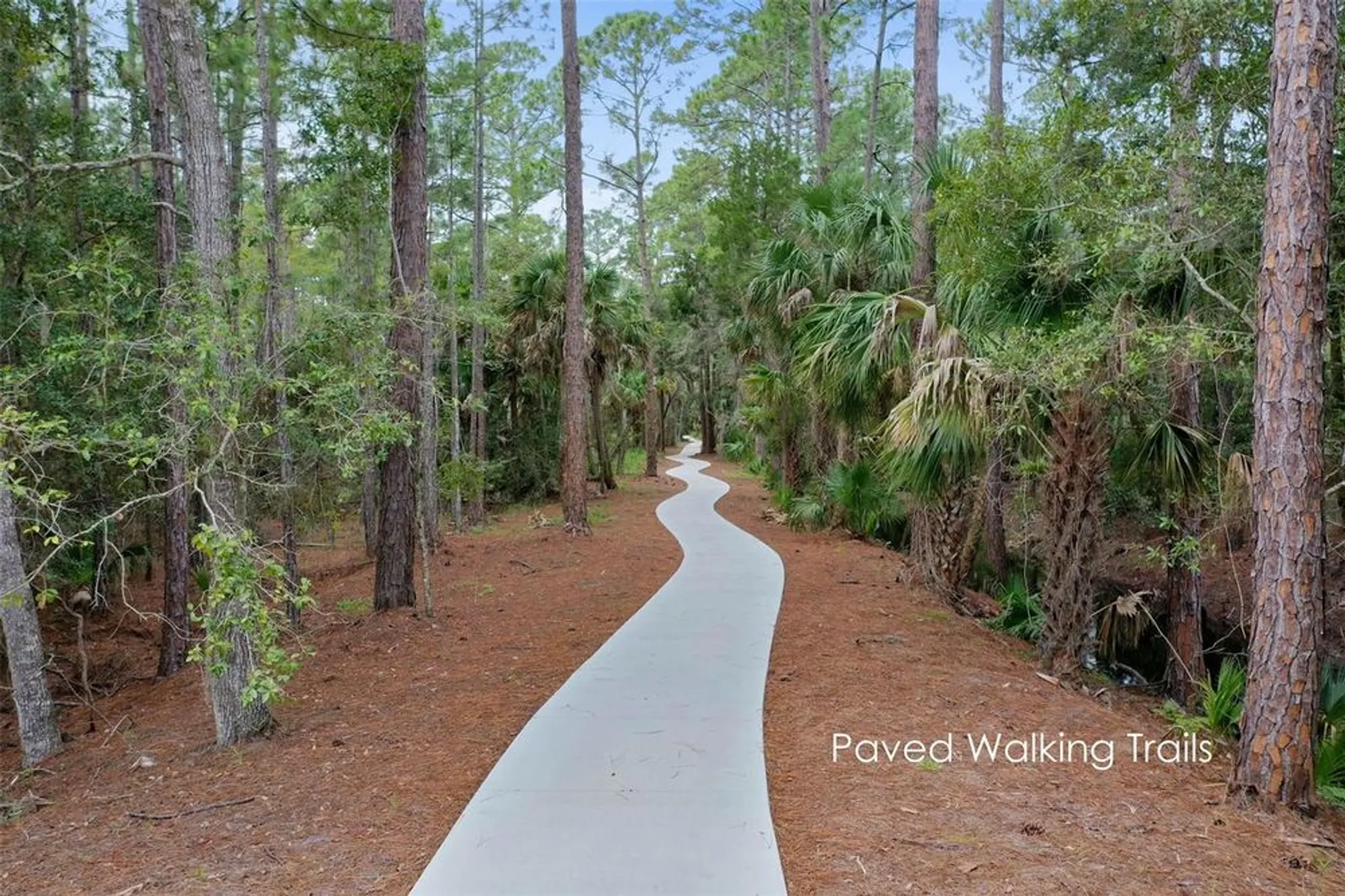 Property Slideshow image 65 of 99 | 3 treetop trl, Ormond Beach, FL, 32174