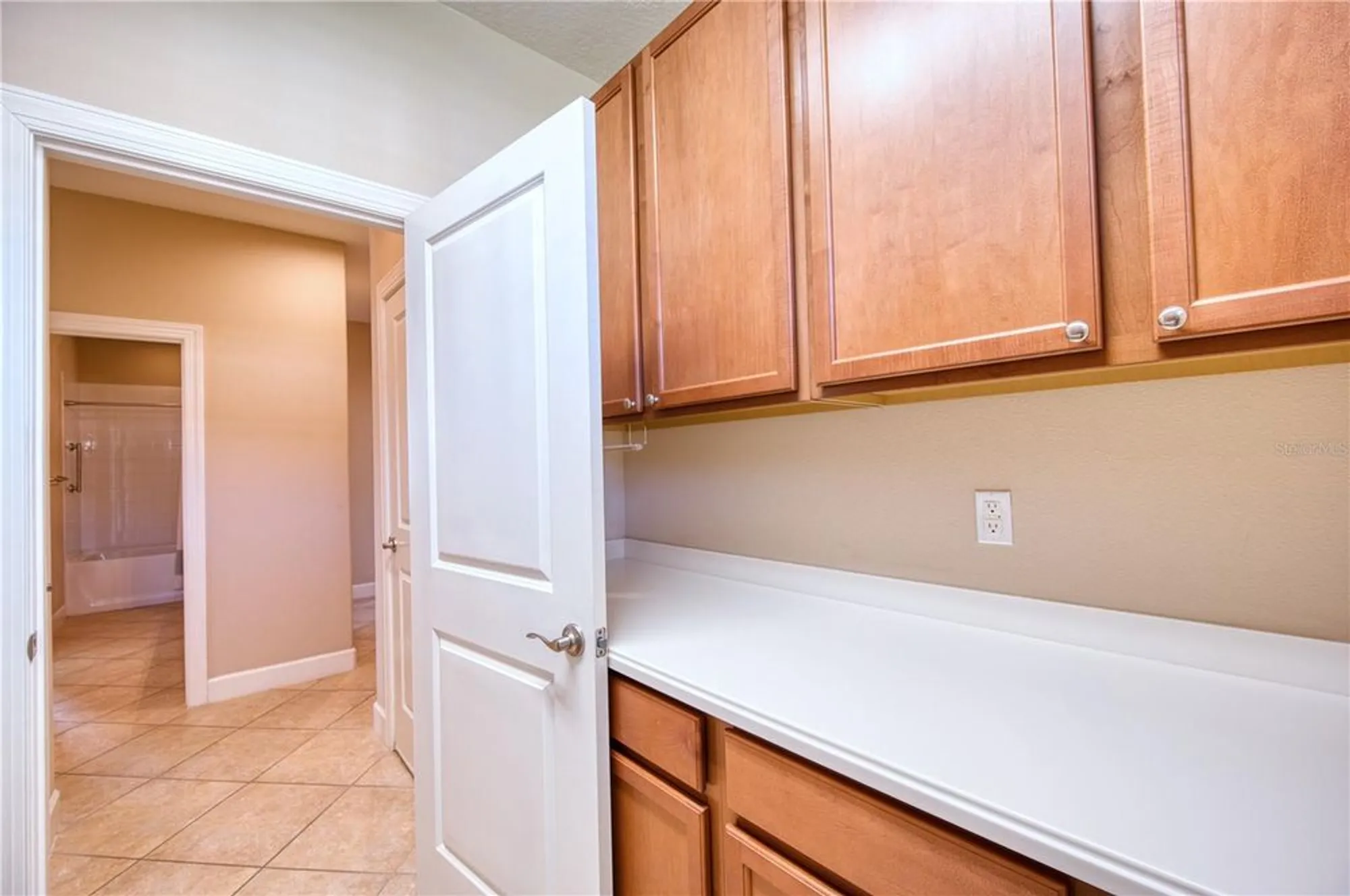 Property Slideshow image 38 of 56 | 10124 saint francis ter, Palmetto, FL, 34221