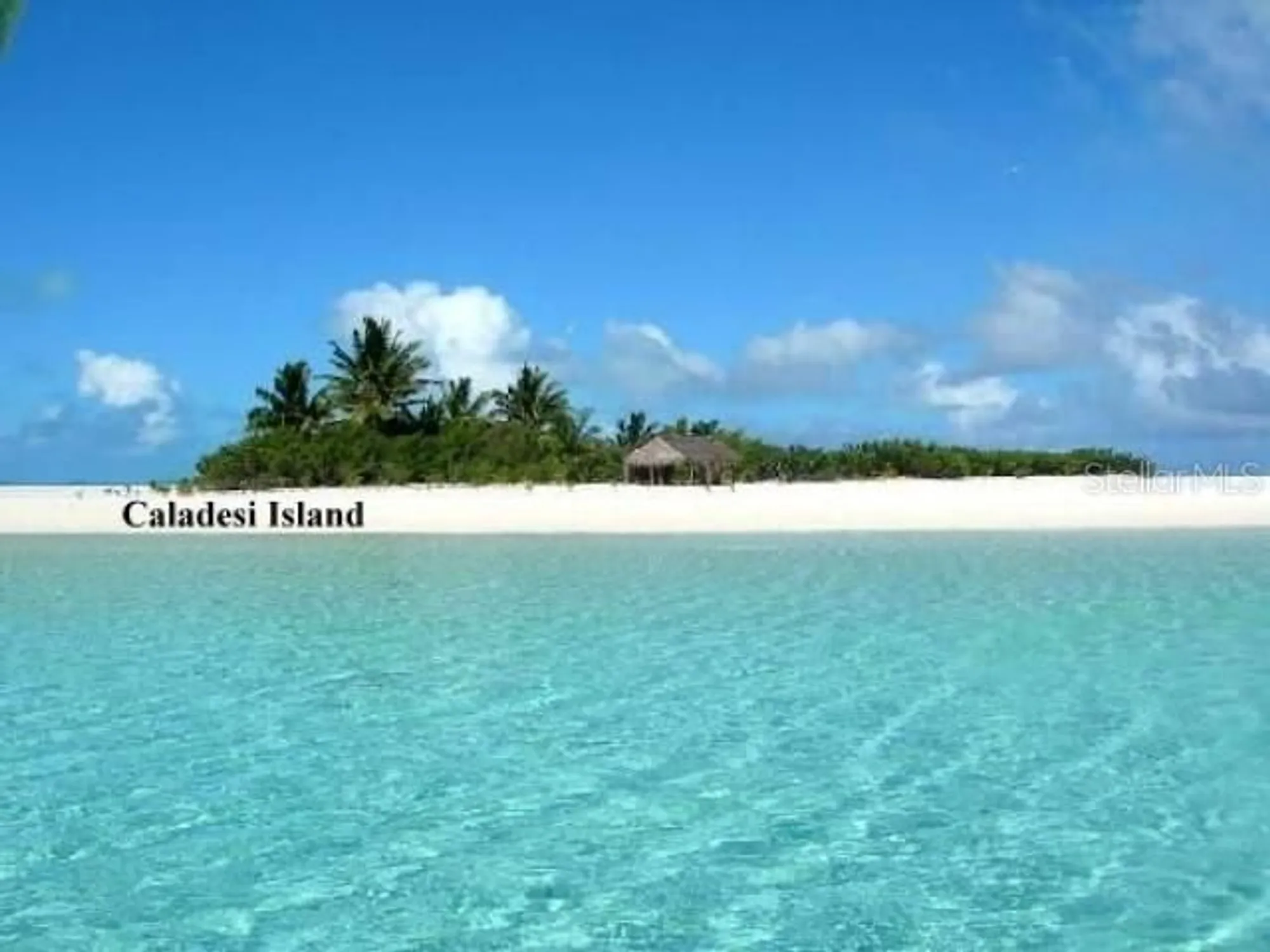 Property Slideshow image 70 of 84 | 1701 pinehurst rd apt 24b, Dunedin, FL, 34698