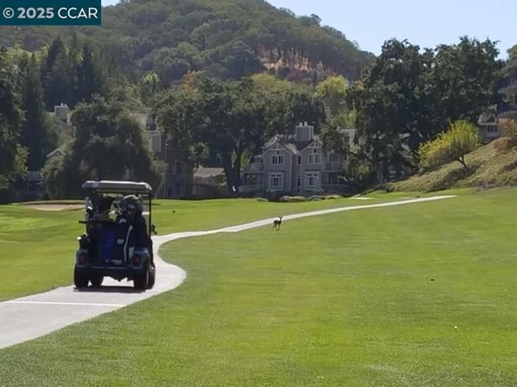 Property Slideshow image 44 of 54 | 3434 tice creek dr 5, Walnut Creek, CA, 94595