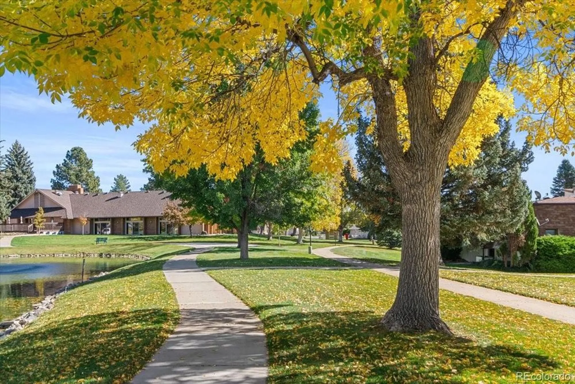 Property Slideshow image 30 of 30 | 51 douglas dr, Broomfield, CO, 80020