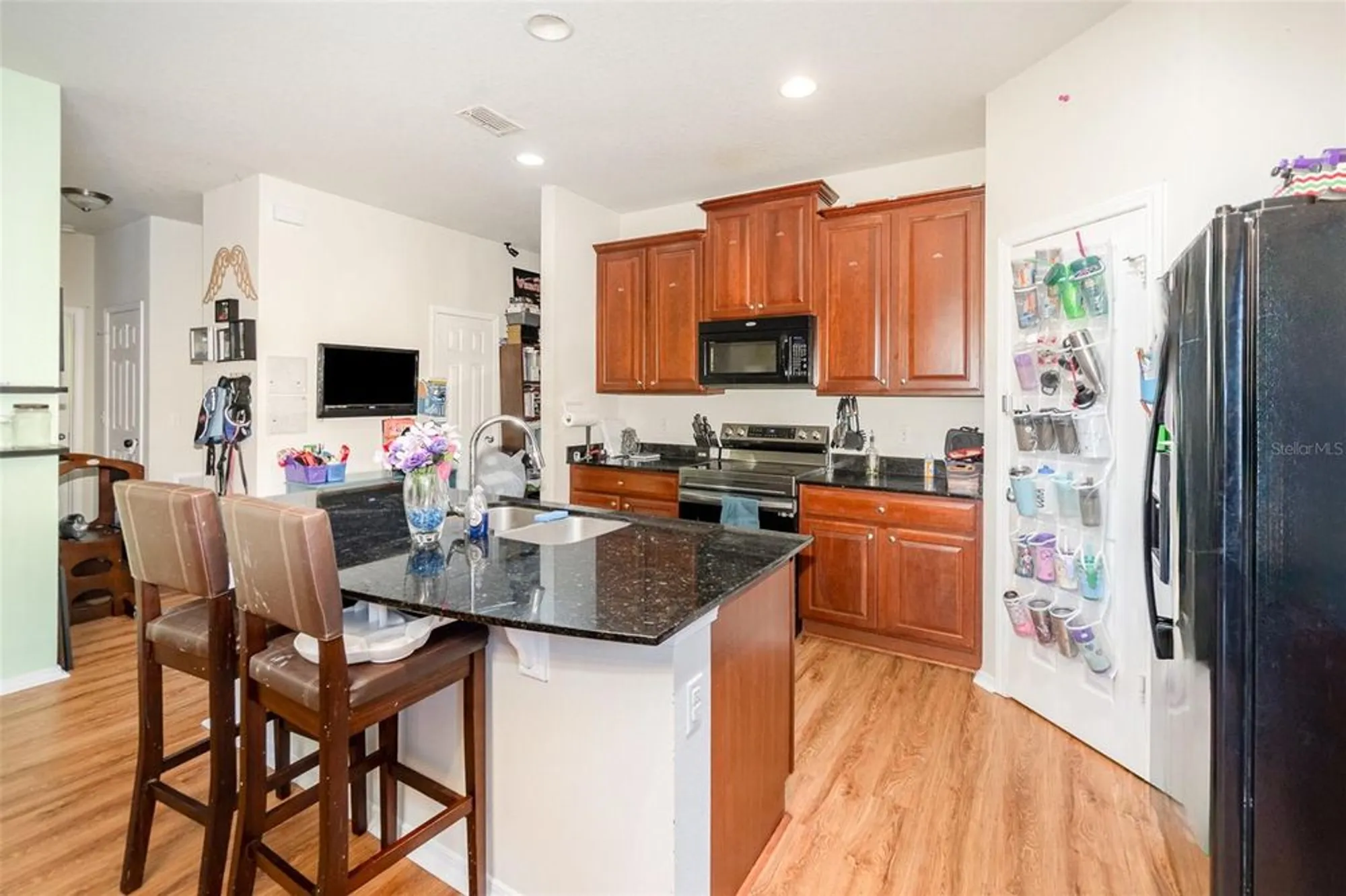 Property Slideshow image 11 of 35 | 30308 cheval st, Mount Dora, FL, 32757