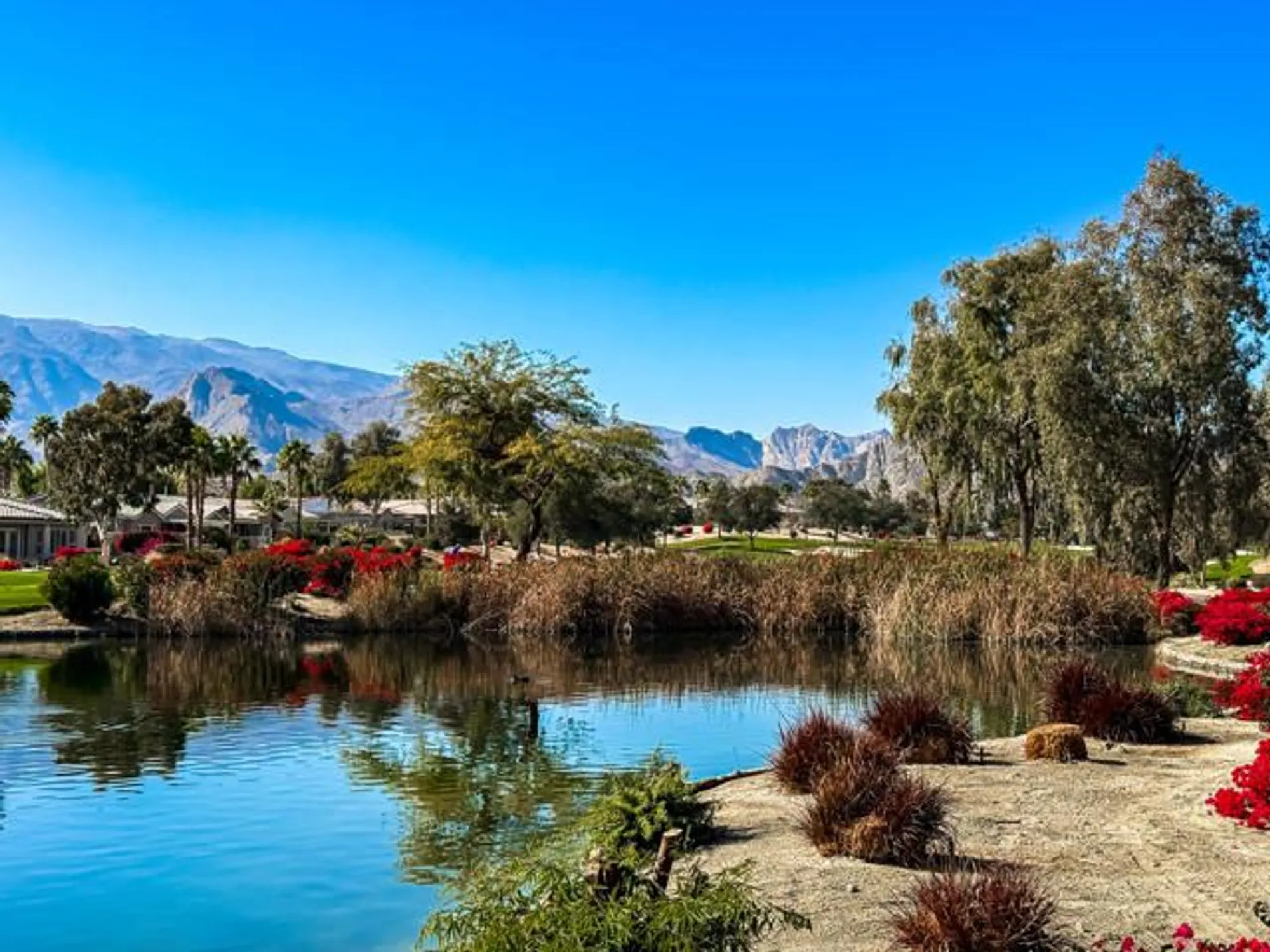 Property Slideshow image 55 of 66 | 81800 eagle claw dr, La Quinta, CA, 92253