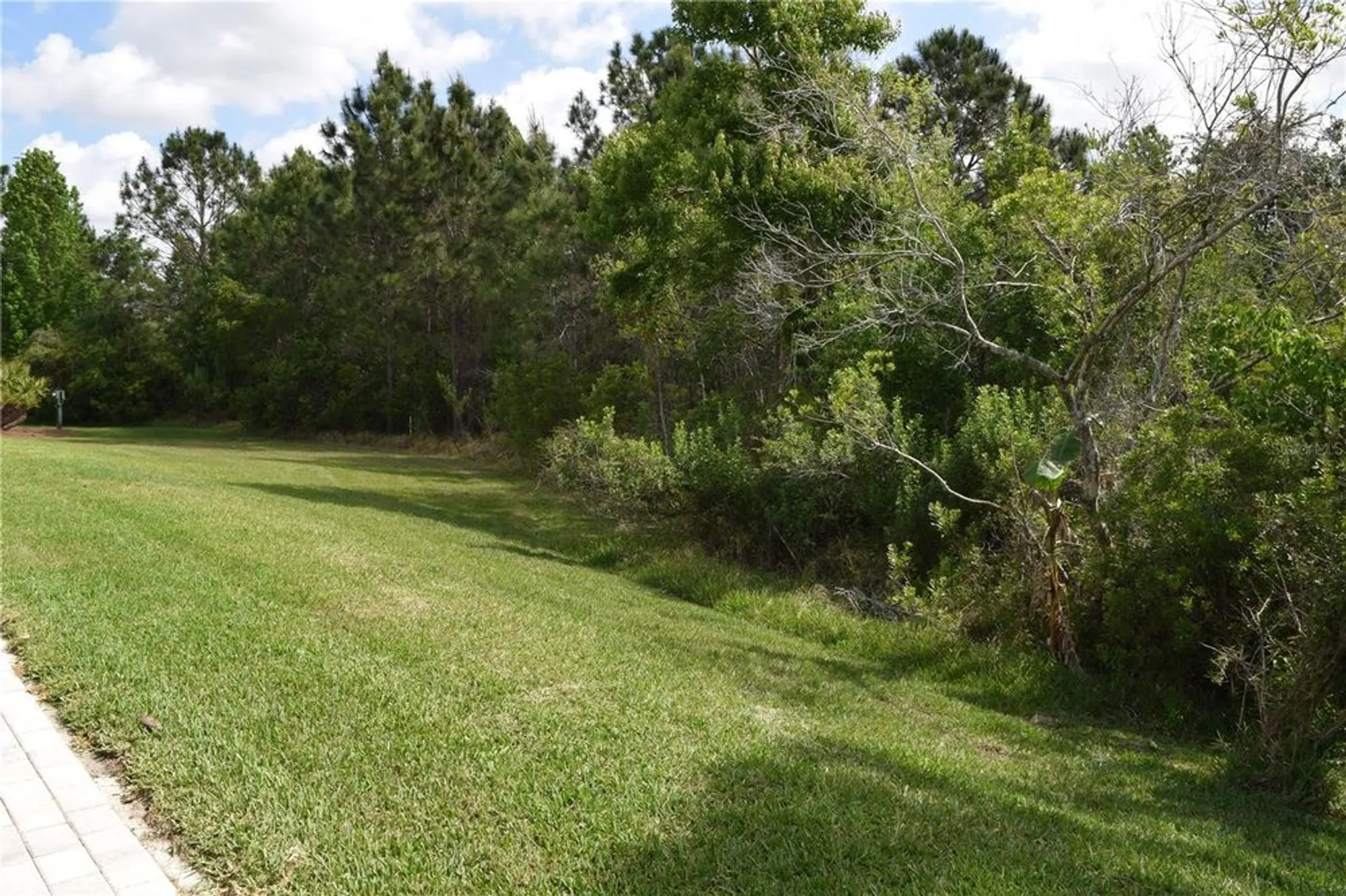 Property Slideshow image 35 of 52 | 10118 cleghorn dr, San Antonio, FL, 33576