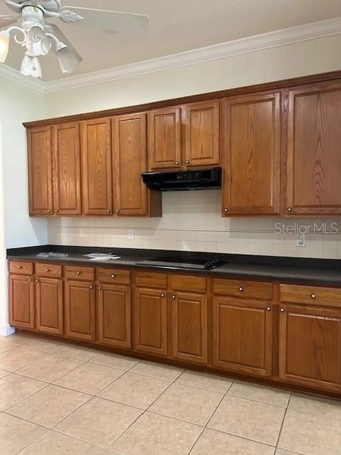 Property Slideshow image 9 of 24 | 13026 se 97th terrace rd, Summerfield, FL, 34491