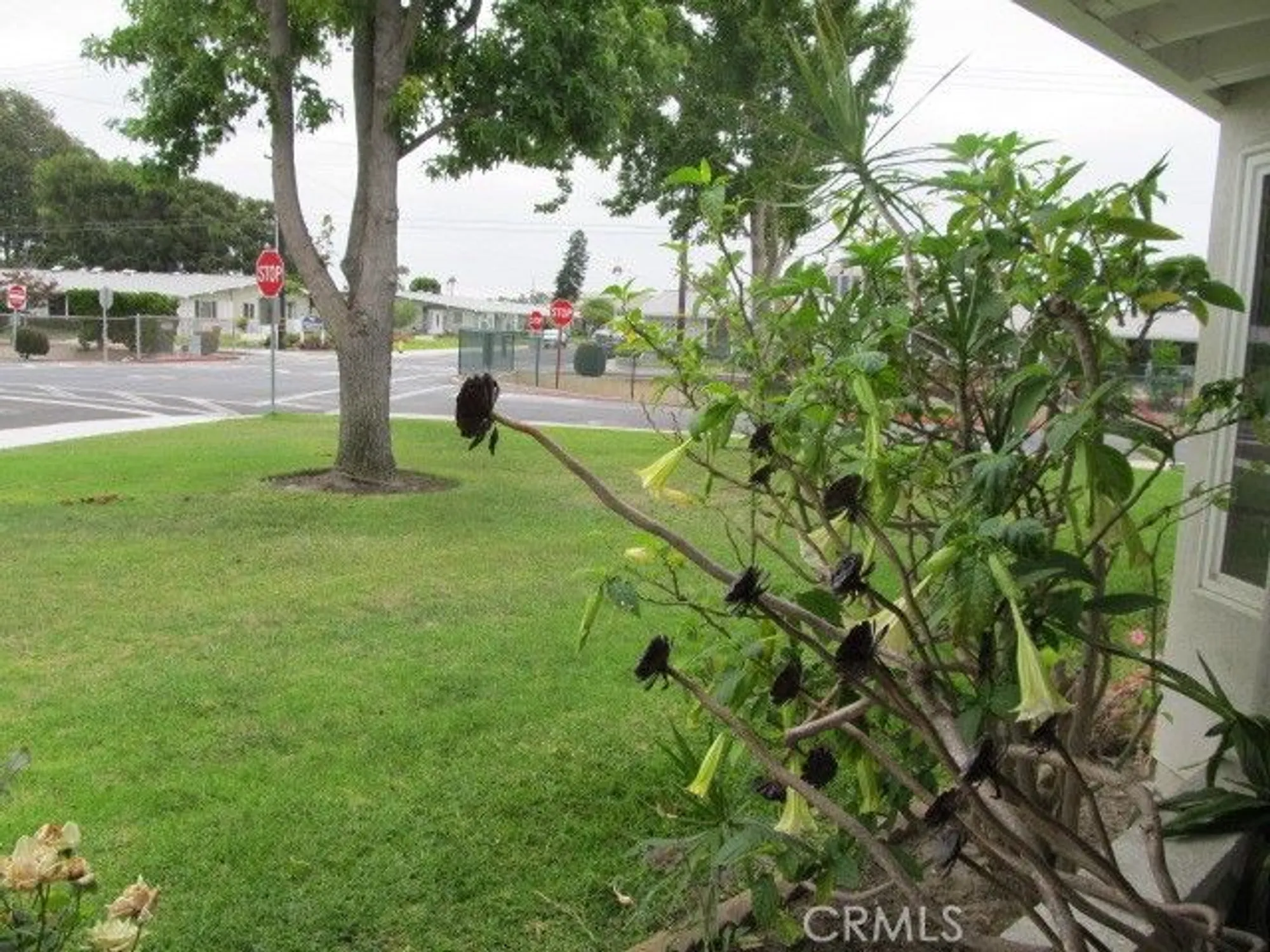 Property Slideshow image 7 of 19 | 1382 el dorado dr # m3-10k, Seal Beach, CA, 90740