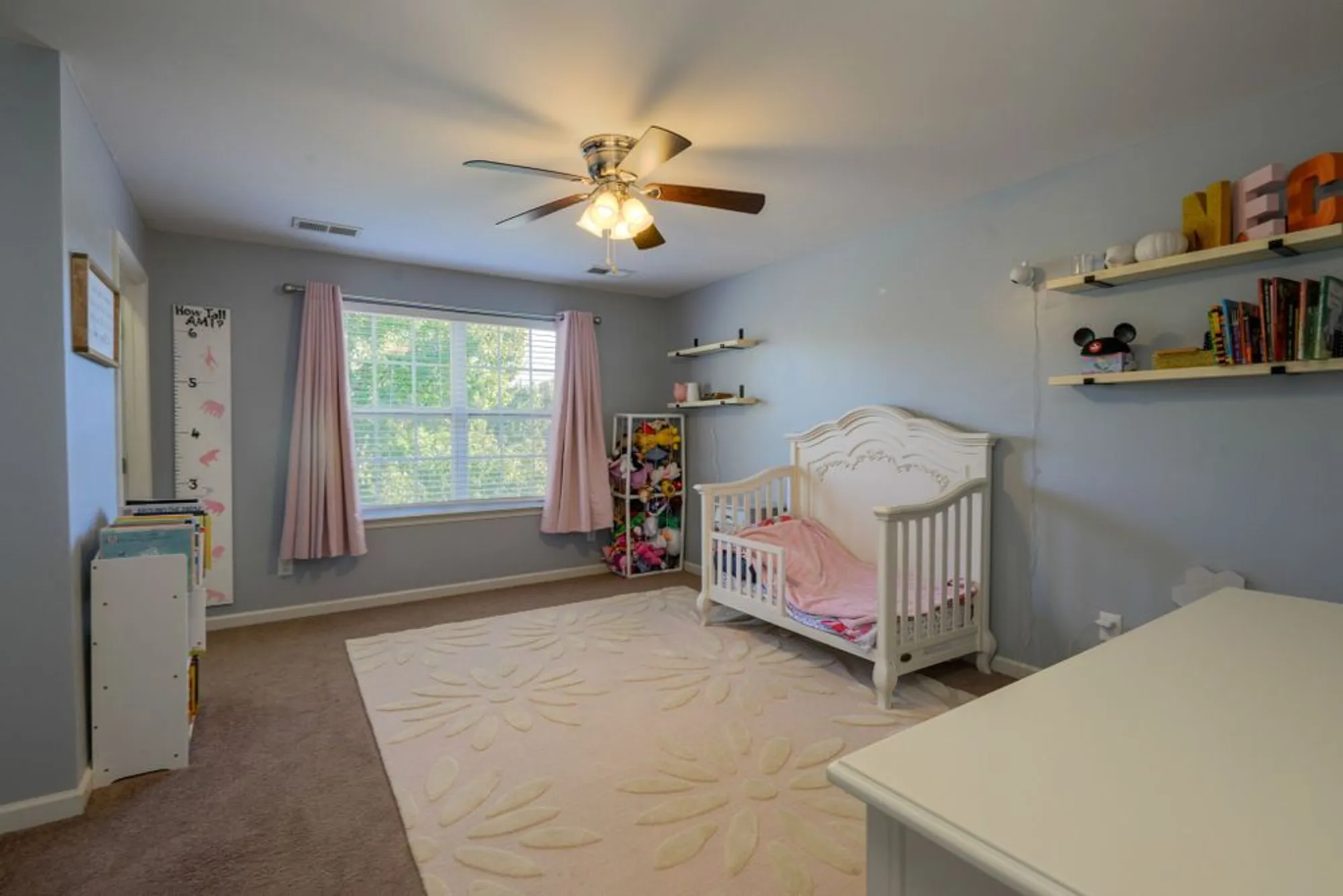 Property Slideshow image 45 of 94 | 259 meandering dr, Lebanon, TN, 37090