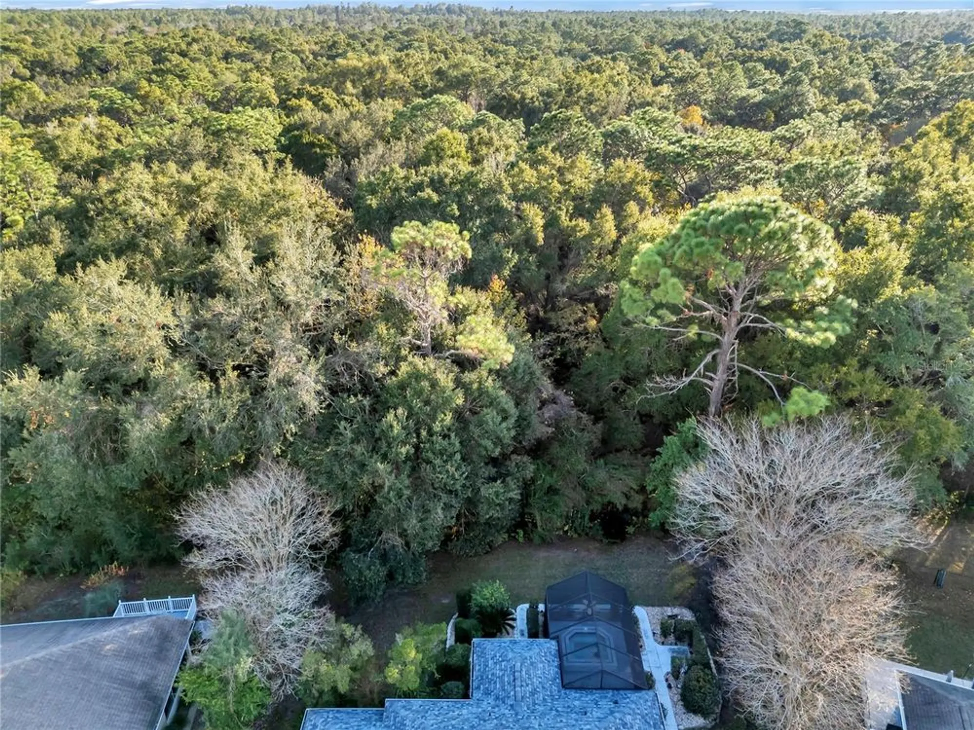 Property Slideshow image 53 of 59 | 11558 sw 74th ct, Ocala, FL, 34476