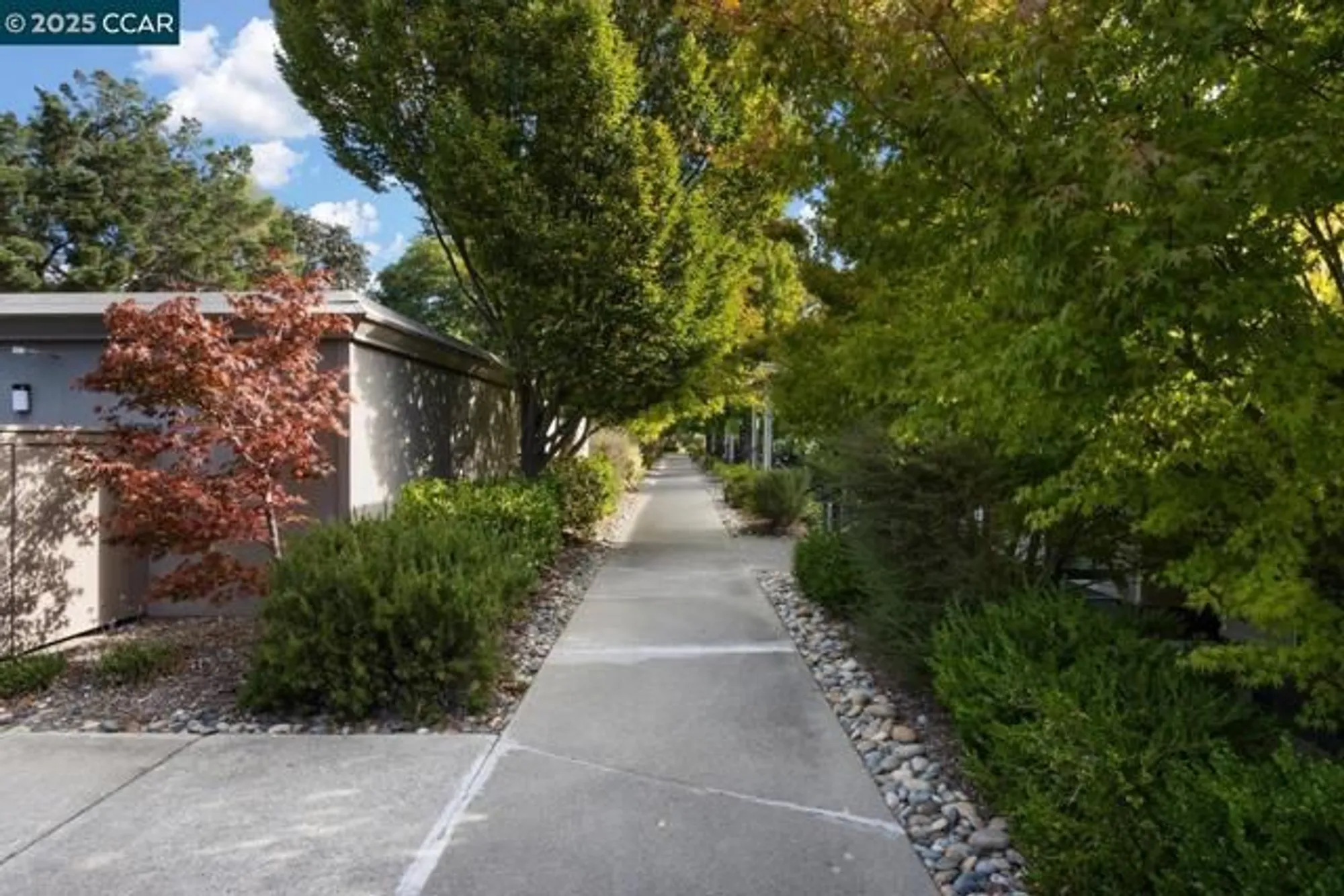 Property Slideshow image 3 of 60 | 1816 golden rain rd 13, Walnut Creek, CA, 94595