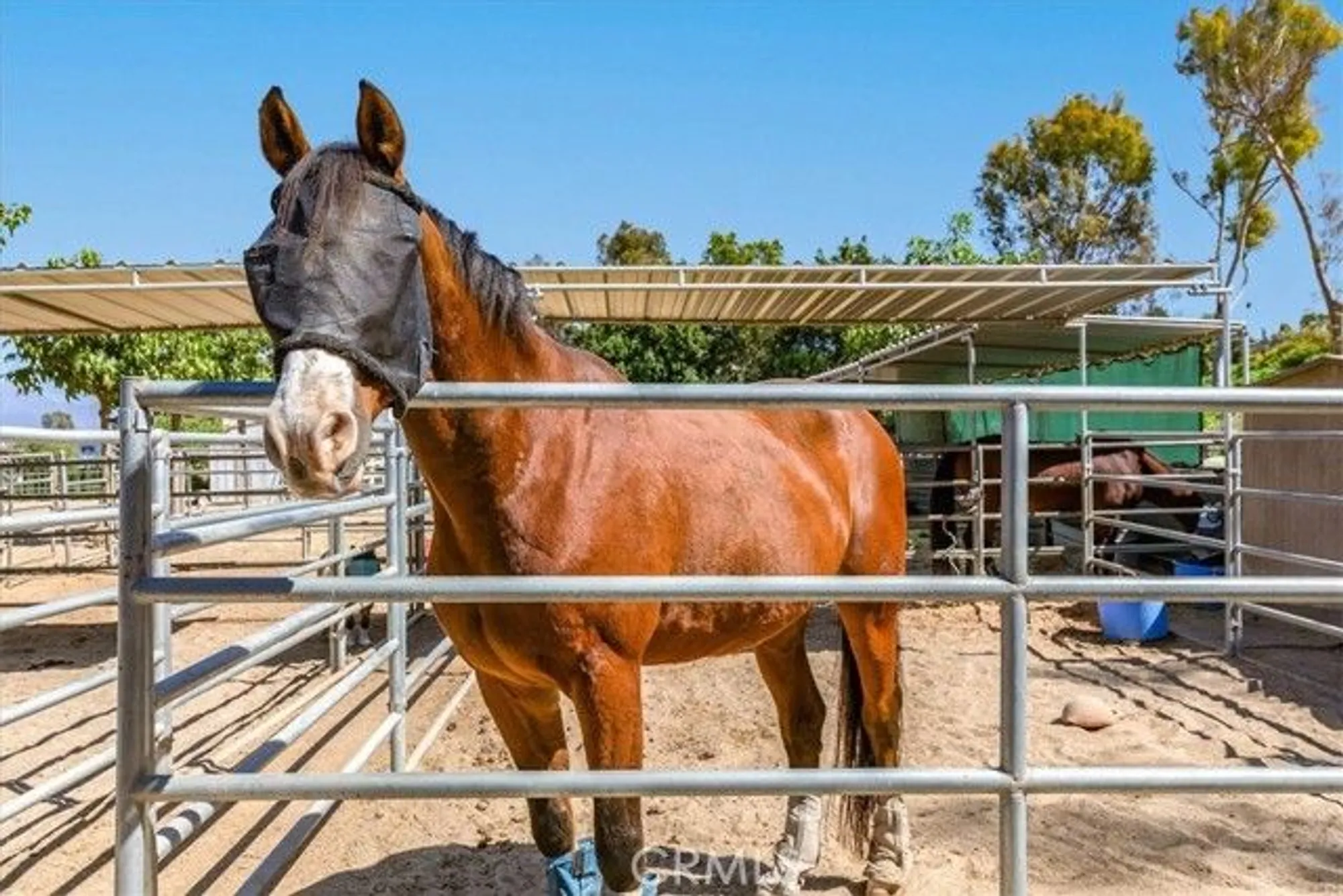 Property Slideshow image 38 of 38 | 2104 ronda granada a, Laguna Woods, CA, 92637