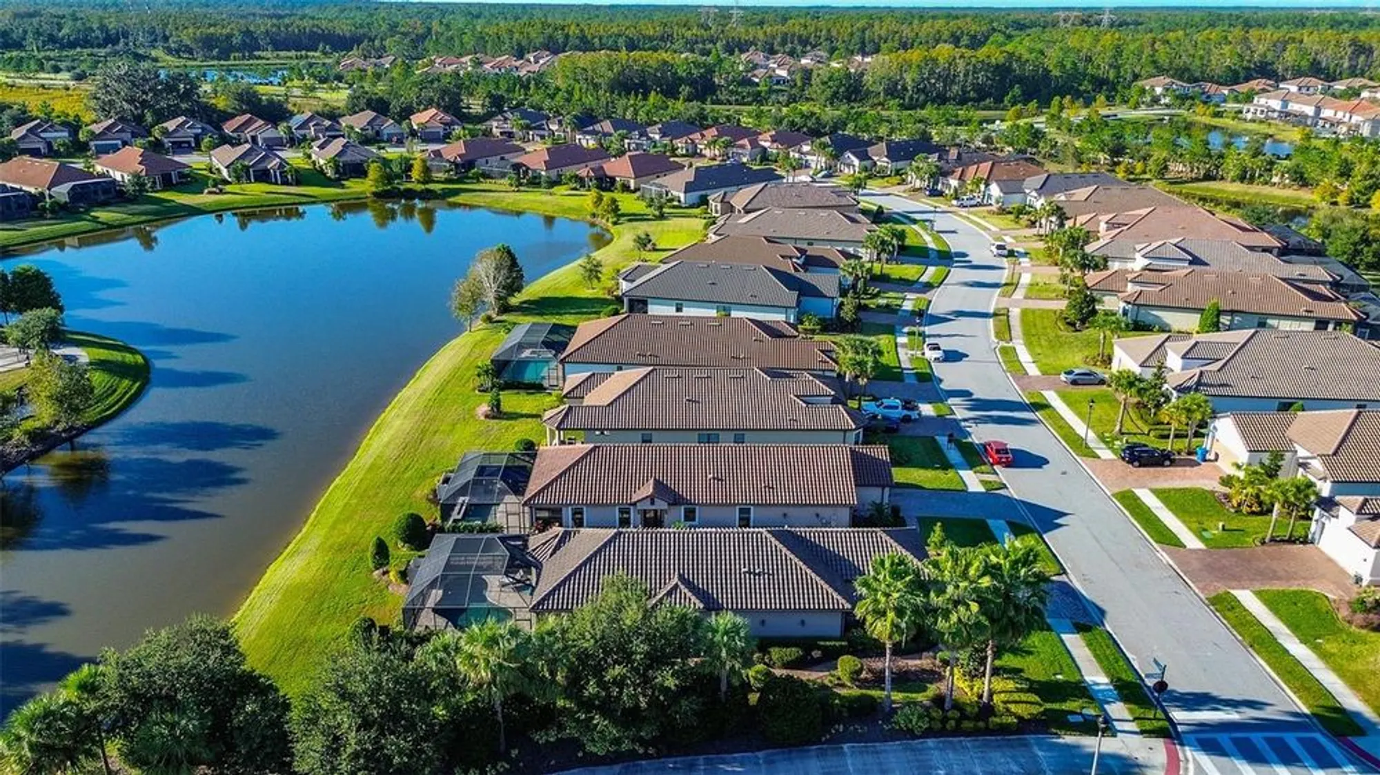 Property Slideshow image 49 of 49 | 11426 juglans dr, Odessa, FL, 33556