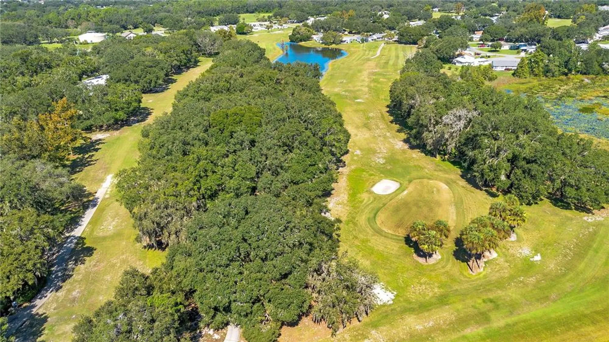 Property Slideshow image 33 of 39 | 25036 cranes roost cir, Leesburg, FL, 34748