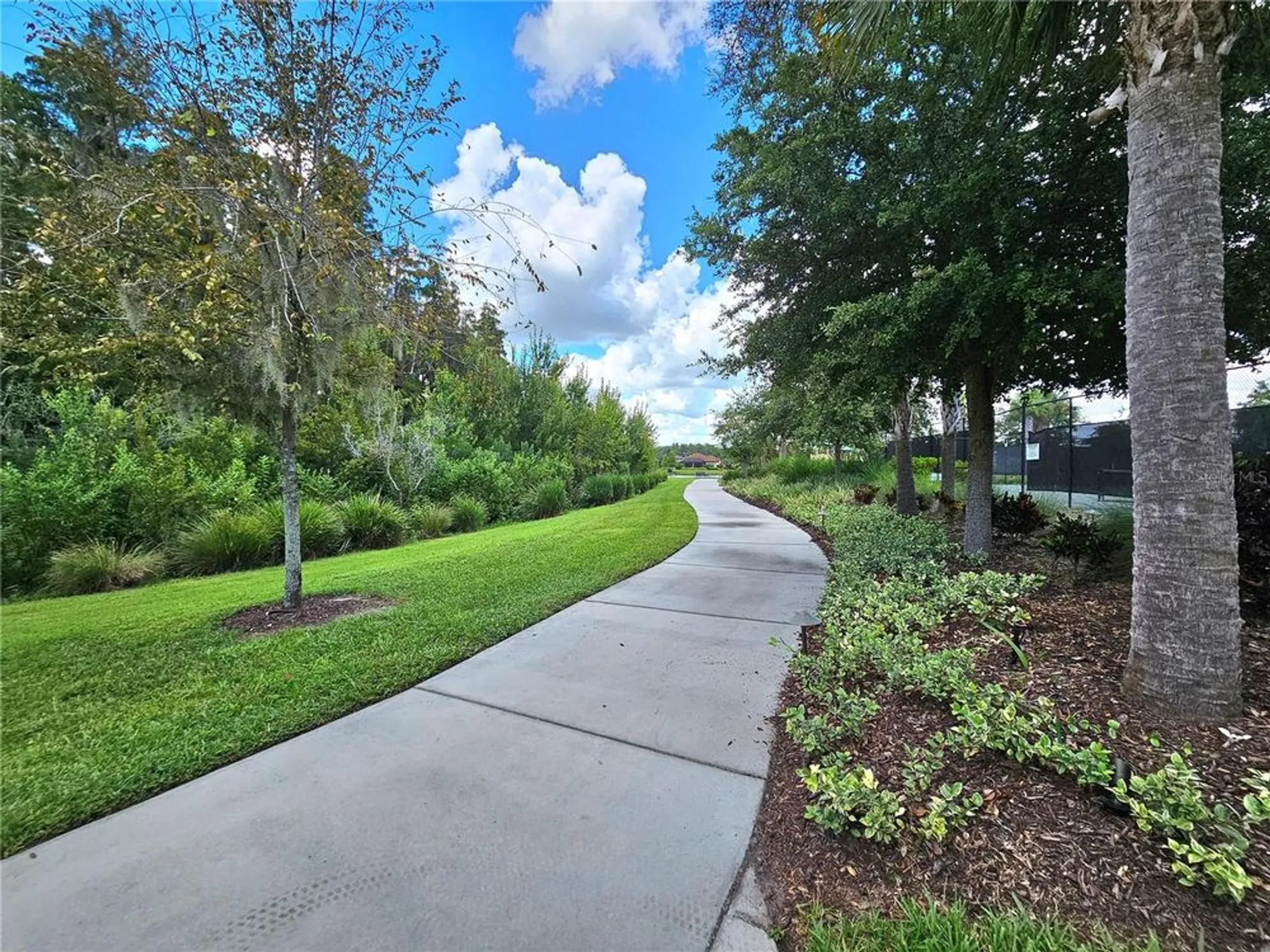 Property Slideshow image 67 of 72 | 11740 bitola dr, Odessa, FL, 33556