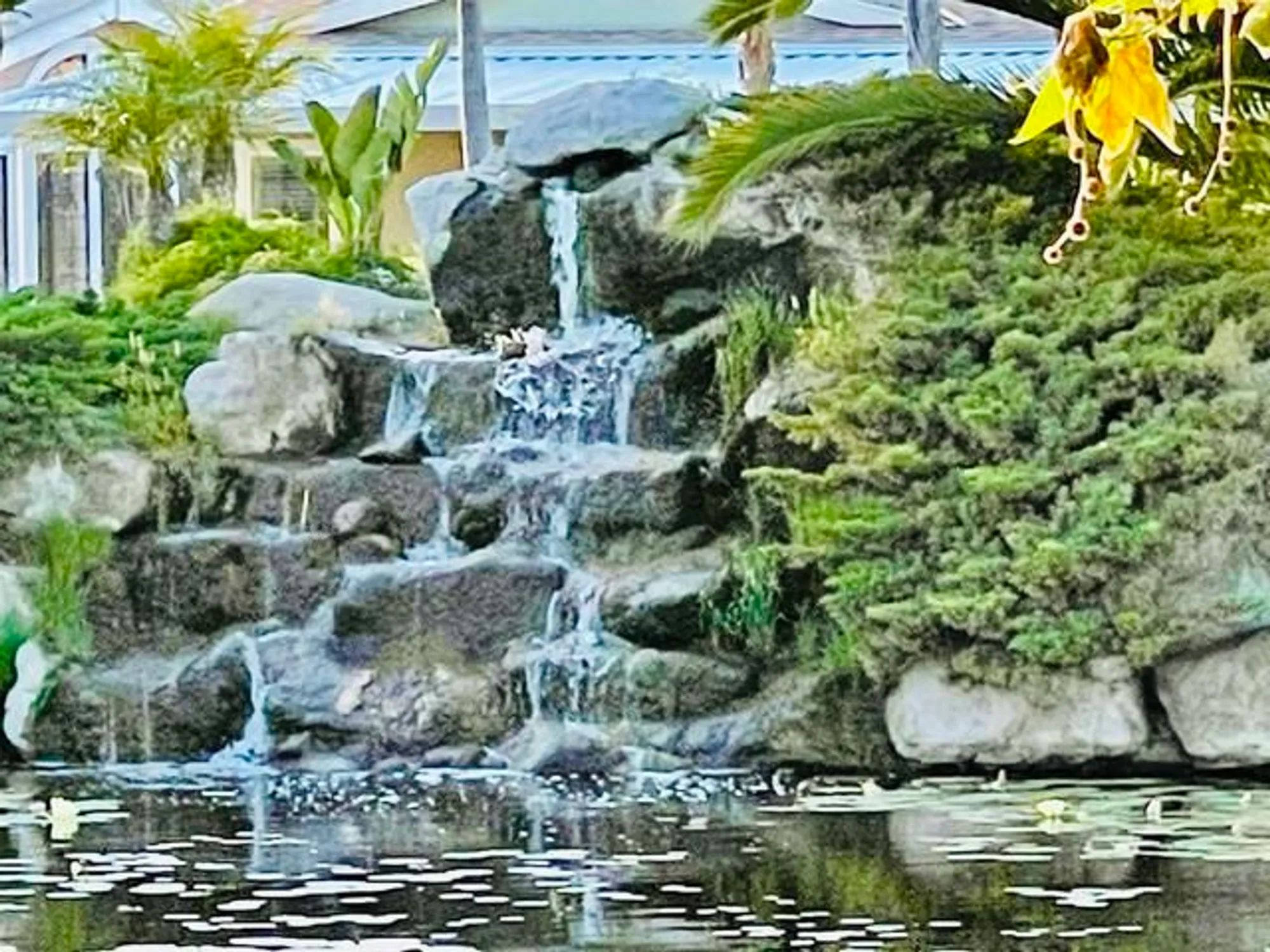 Property Slideshow image 66 of 74 | 3445 don ortega dr, Carlsbad, CA, 92010