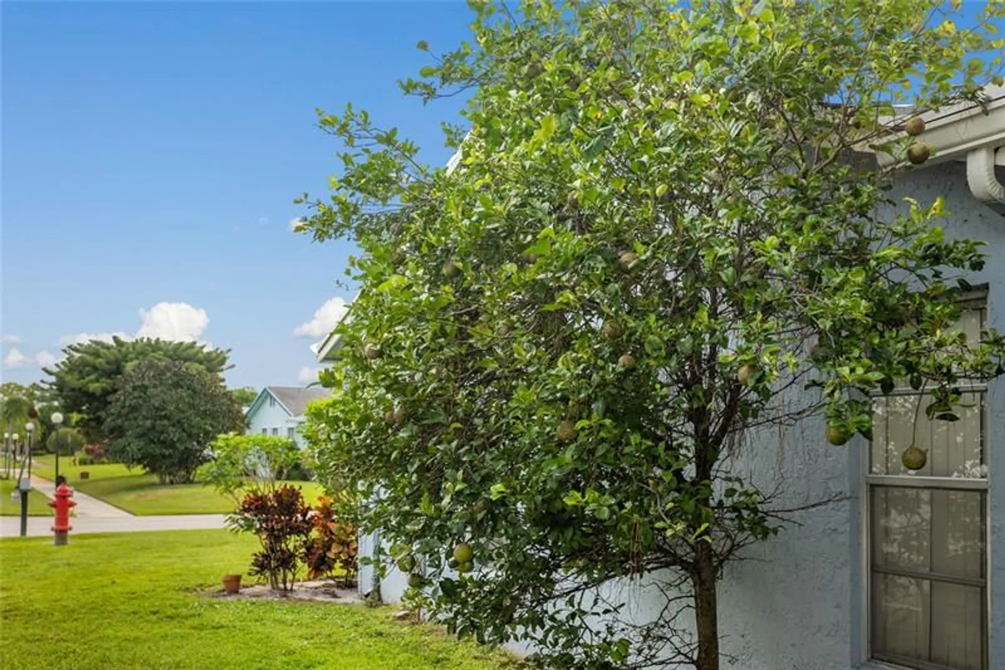 Property Slideshow image 17 of 21 | 6301 silver moon ln, Greenacres, FL, 33463