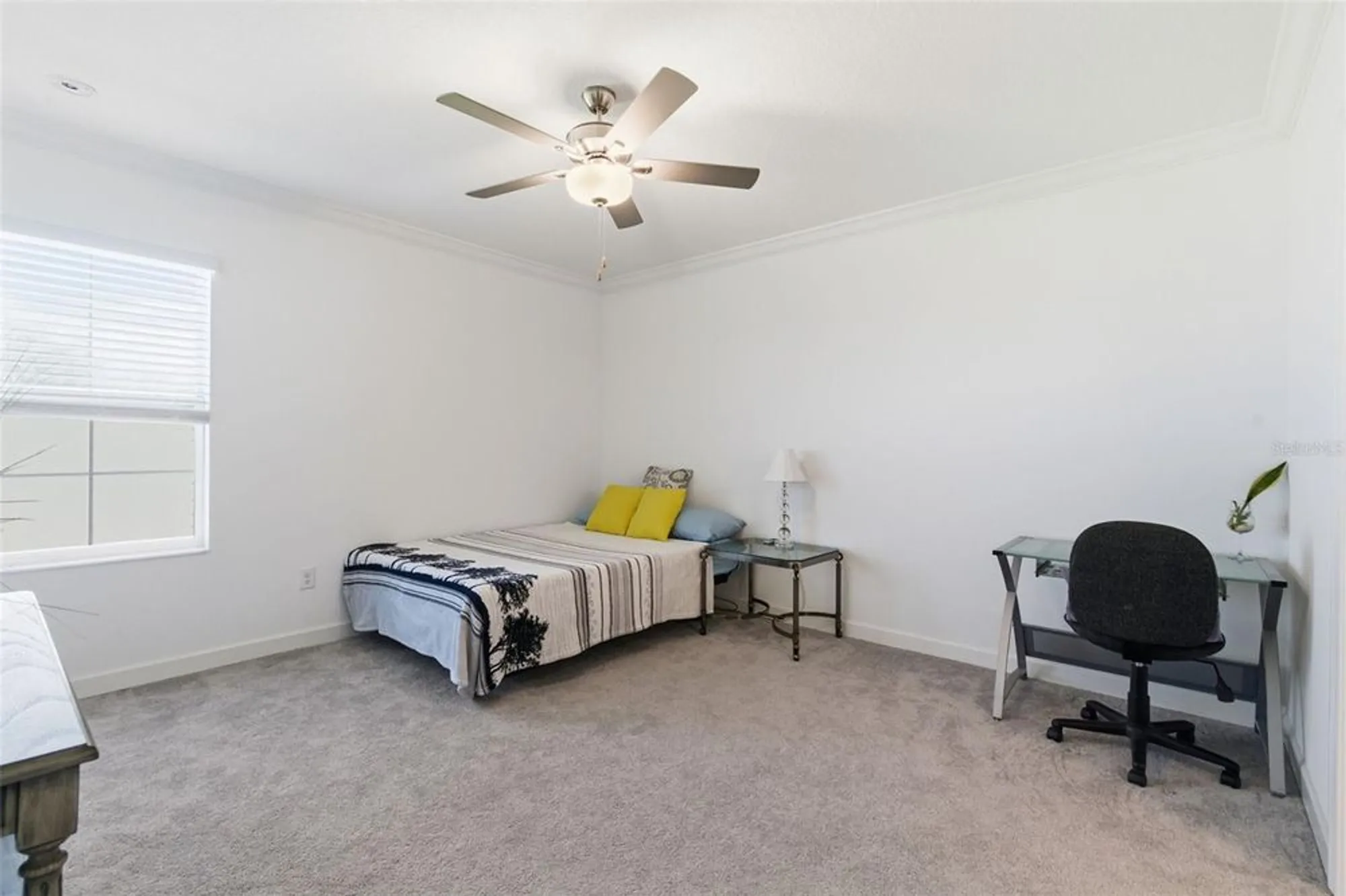 Property Slideshow image 19 of 42 | 31524 magna gulf loop, San Antonio, FL, 33576