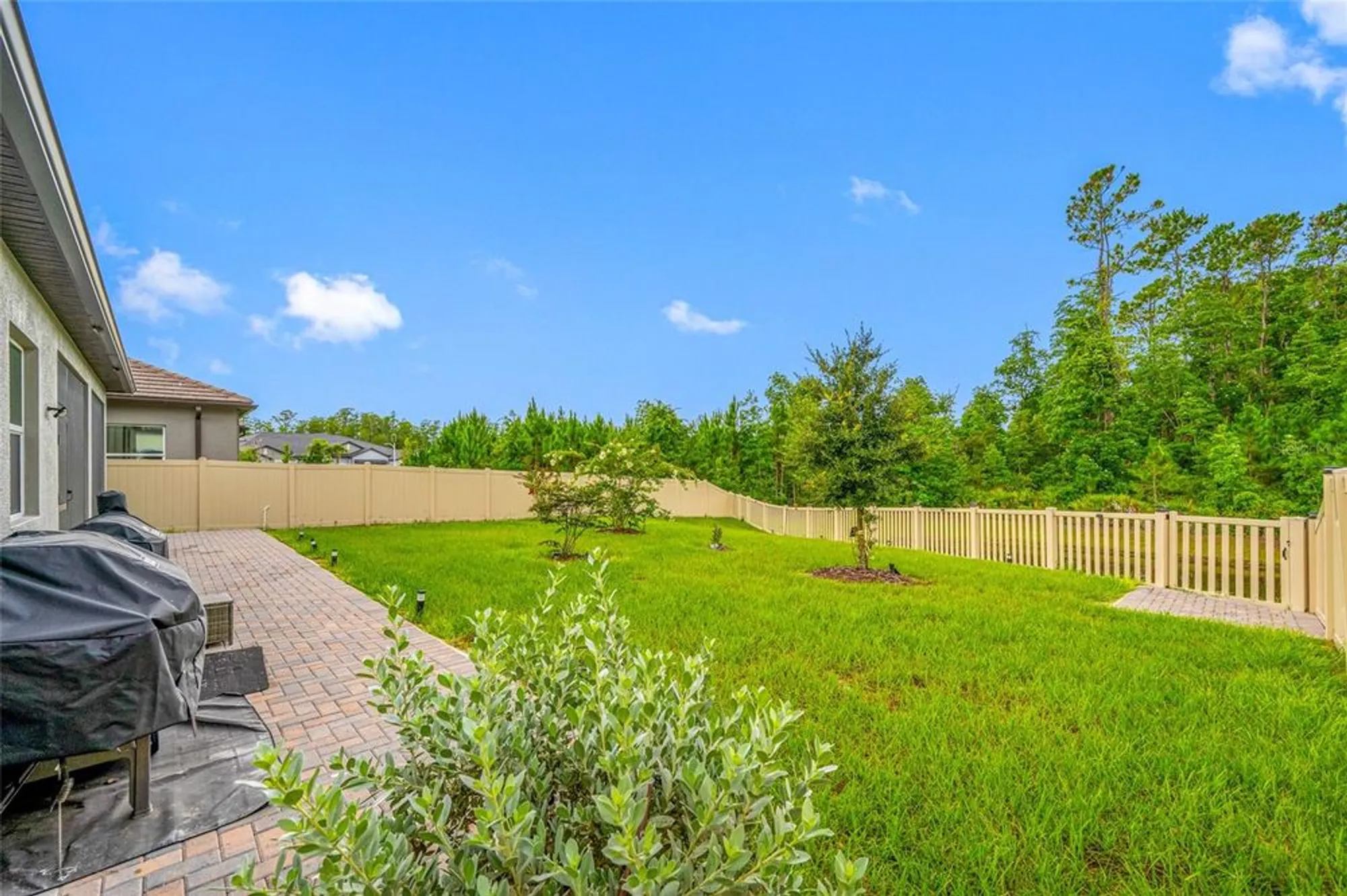 Property Slideshow image 60 of 93 | 10639 bailey pearl ct, Land O Lakes, FL, 34638