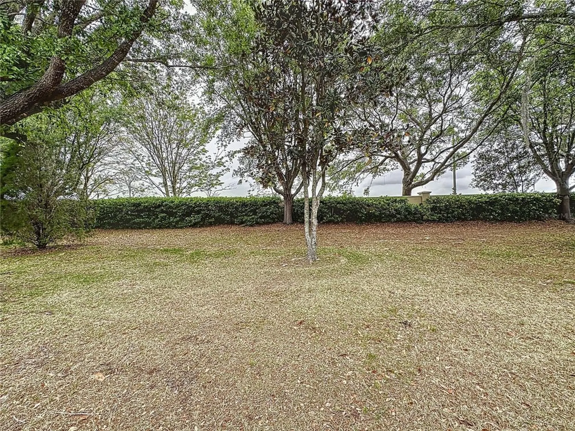 Property Slideshow image 50 of 78 | 135 crepe myrtle dr, Groveland, FL, 34736