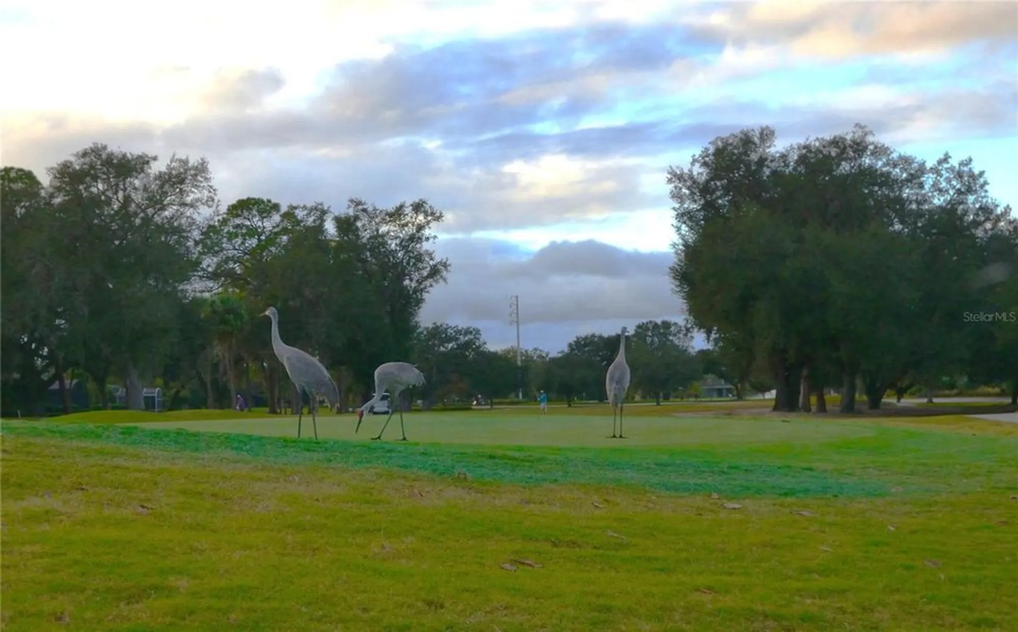 Property Slideshow image 43 of 43 | 225 high vista dr, Davenport, FL, 33837