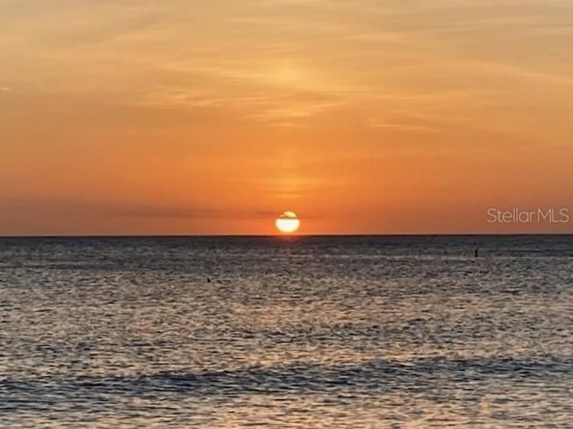 Property Slideshow image 73 of 73 | 7300 sun island dr 1705, South Pasadena, FL, 33707