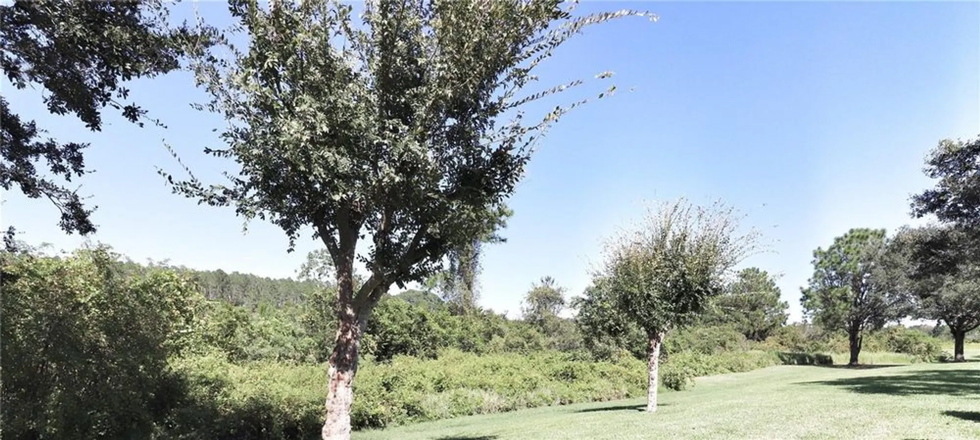 Property Slideshow image 24 of 42 | 5433 sir churchill dr, Leesburg, FL, 34748