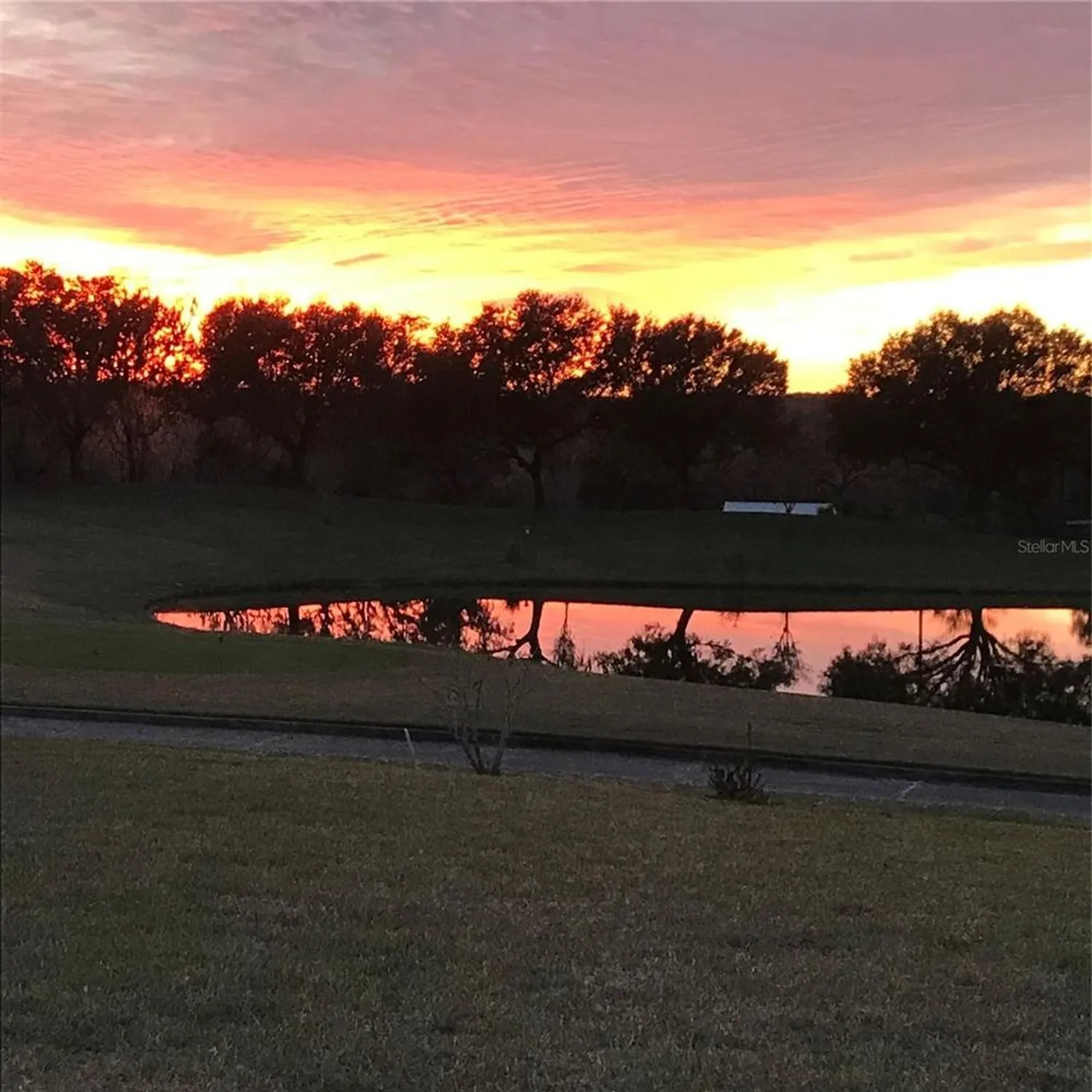 Property Slideshow image 73 of 75 | 13301 thoroughbred dr, Dade City, FL, 33525