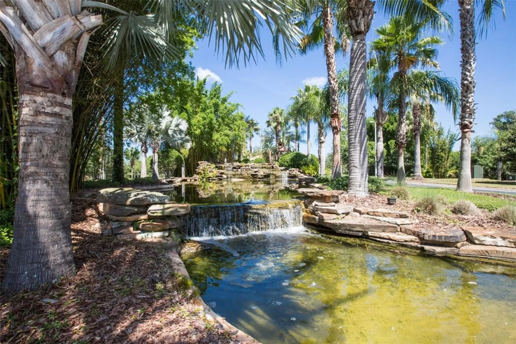 Property Slideshow image 44 of 70 | 329 bluewater falls ct, Apollo Beach, FL, 33572