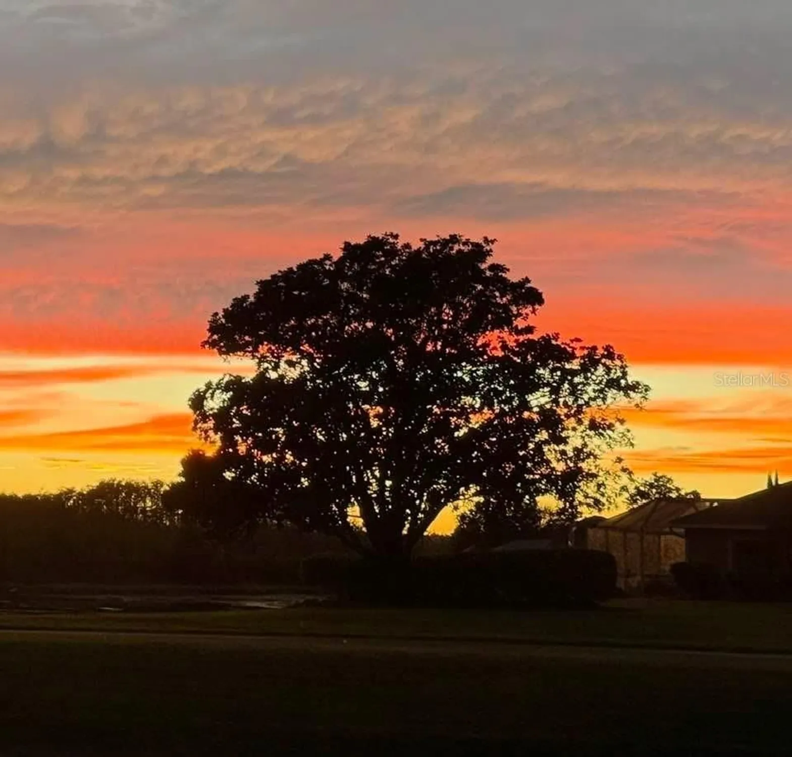 Property Slideshow image 57 of 58 | 8472 maybelle dr, Weeki Wachee, FL, 34613