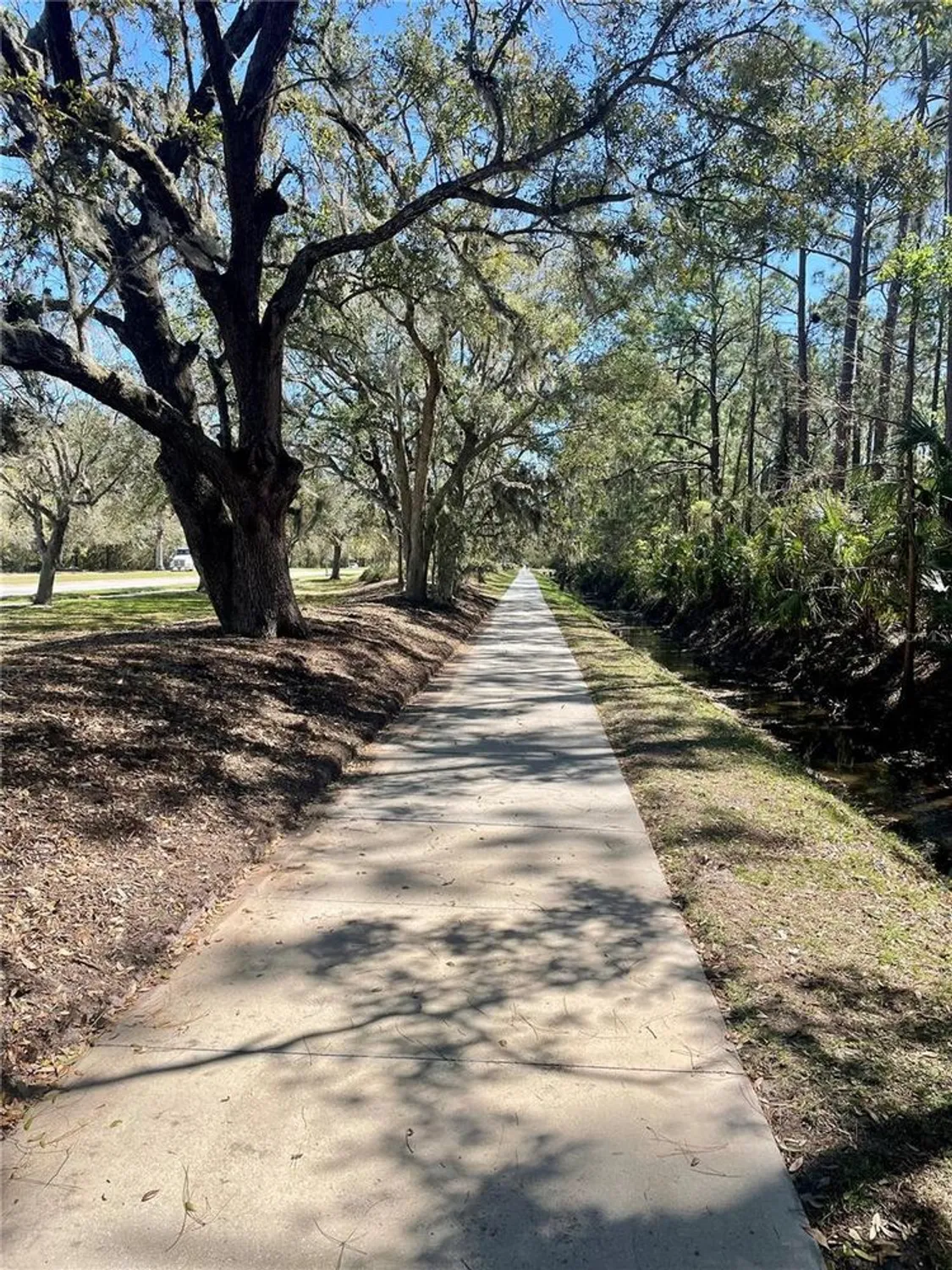 Property Slideshow image 77 of 79 | 3611 marisol ct, New Smyrna Beach, FL, 32168