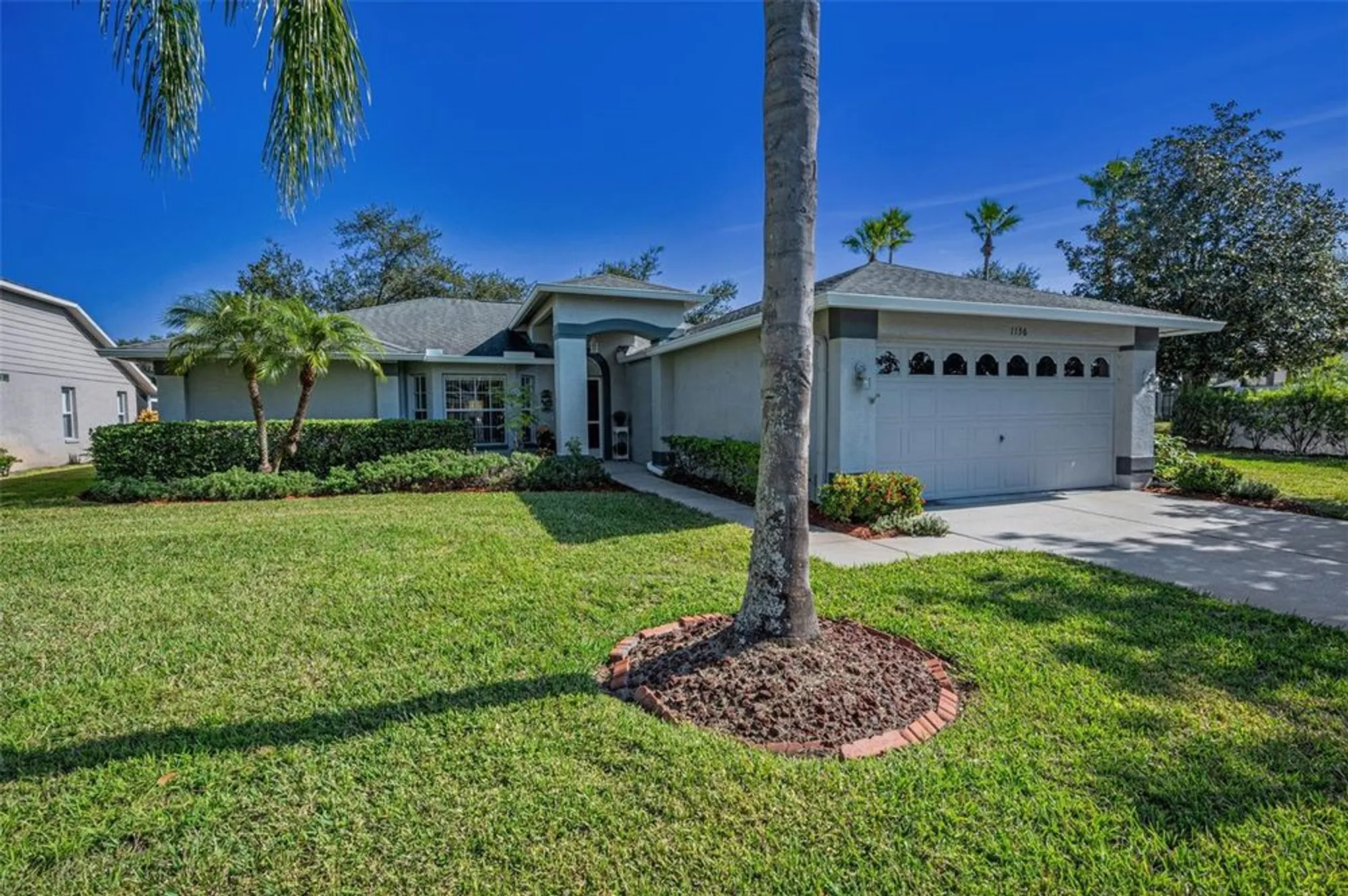 Property Slideshow image 6 of 100 | 1136 almondwood dr, Trinity, FL, 34655