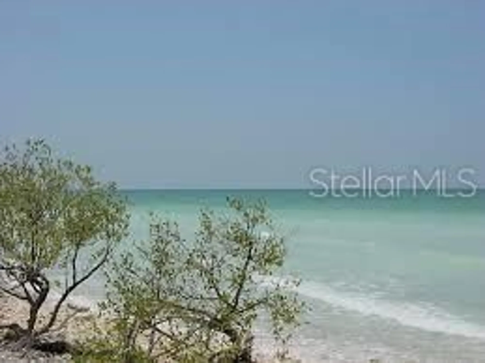 Property Slideshow image 32 of 35 | 2435 sumatran way 35, Clearwater, FL, 33763