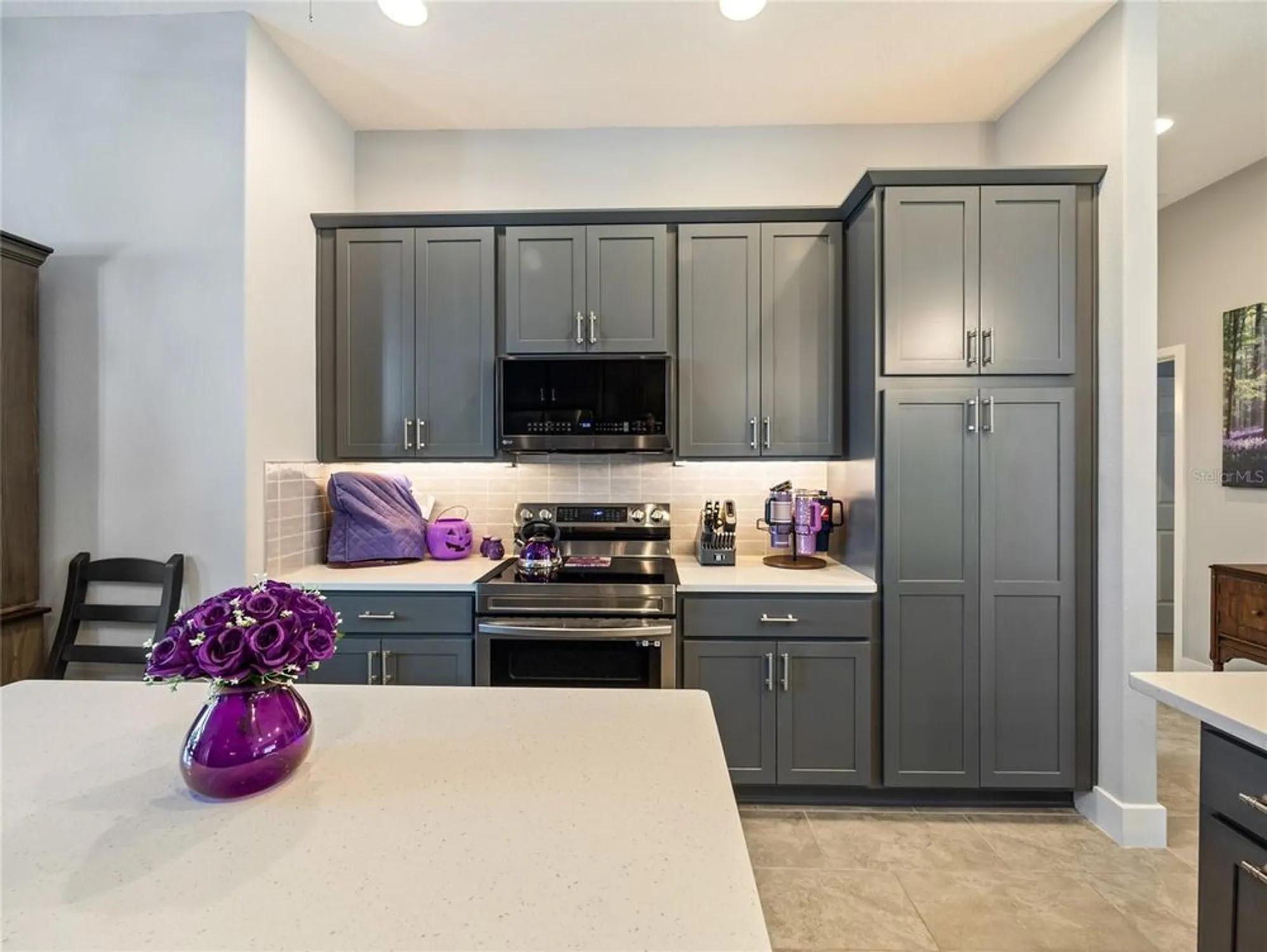 Property Slideshow image 38 of 55 | 1125 maynard path, The Villages, FL, 32163