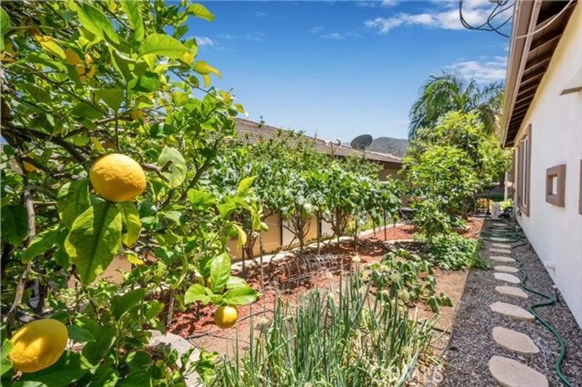 Property Slideshow image 31 of 67 | 24359 nobe st, Corona, CA, 92883