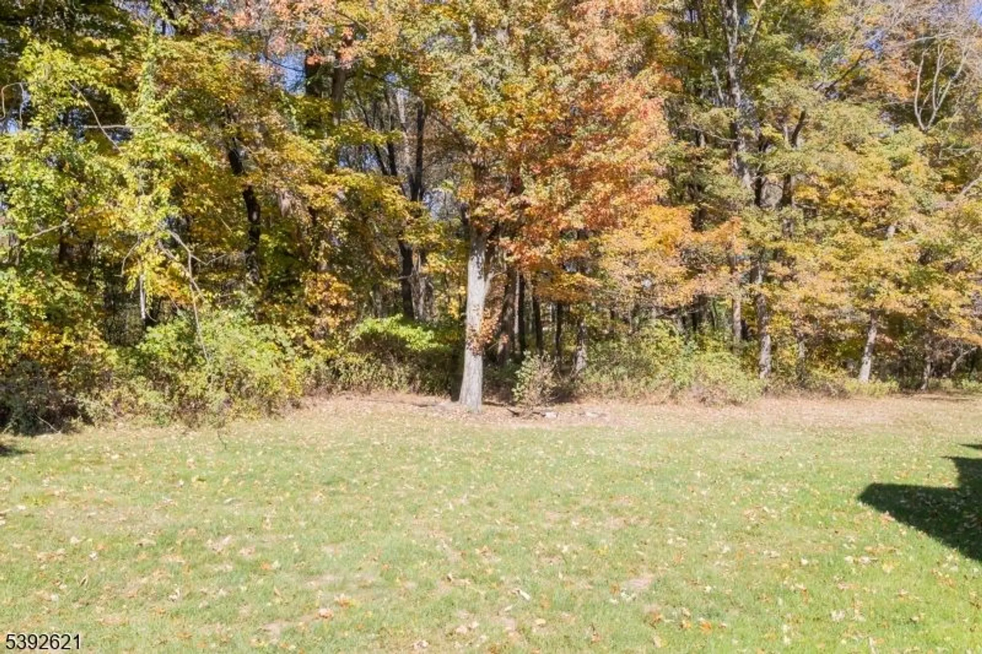Property Slideshow image 38 of 39 | 31 drake way, Roxbury Twp, NJ, 07836