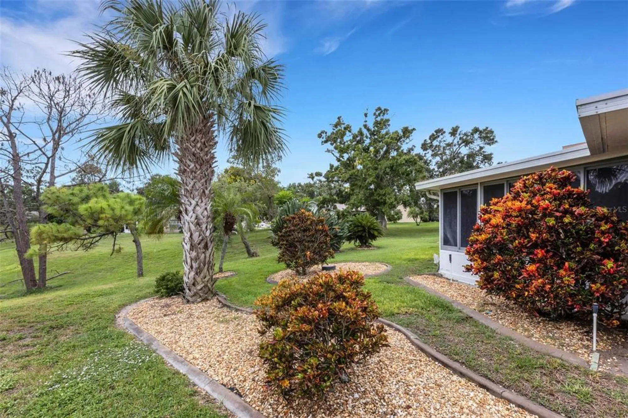 Property Slideshow image 61 of 90 | 3098 e dorchester dr, Palm Harbor, FL, 34684