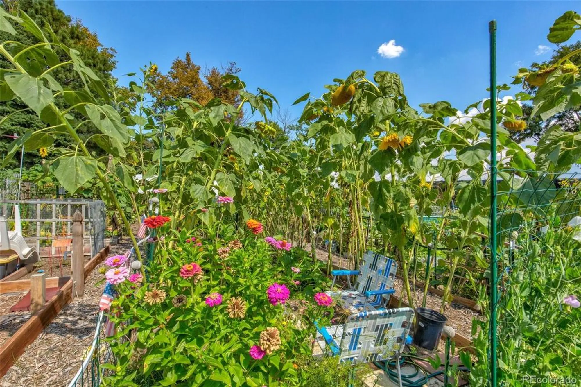 Property Slideshow image 42 of 47 | 14102 e linvale pl 501, Aurora, CO, 80014