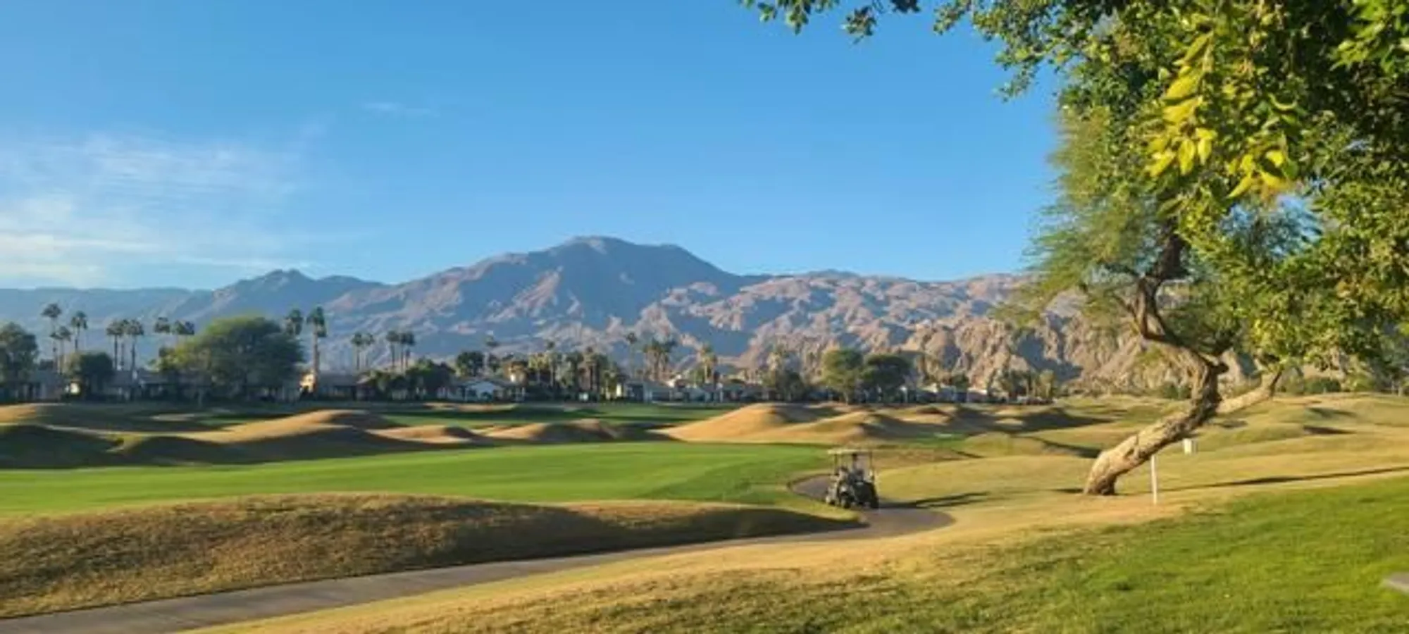 Property Slideshow image 1 of 36 | 80613 oak tree, La Quinta, CA, 92253