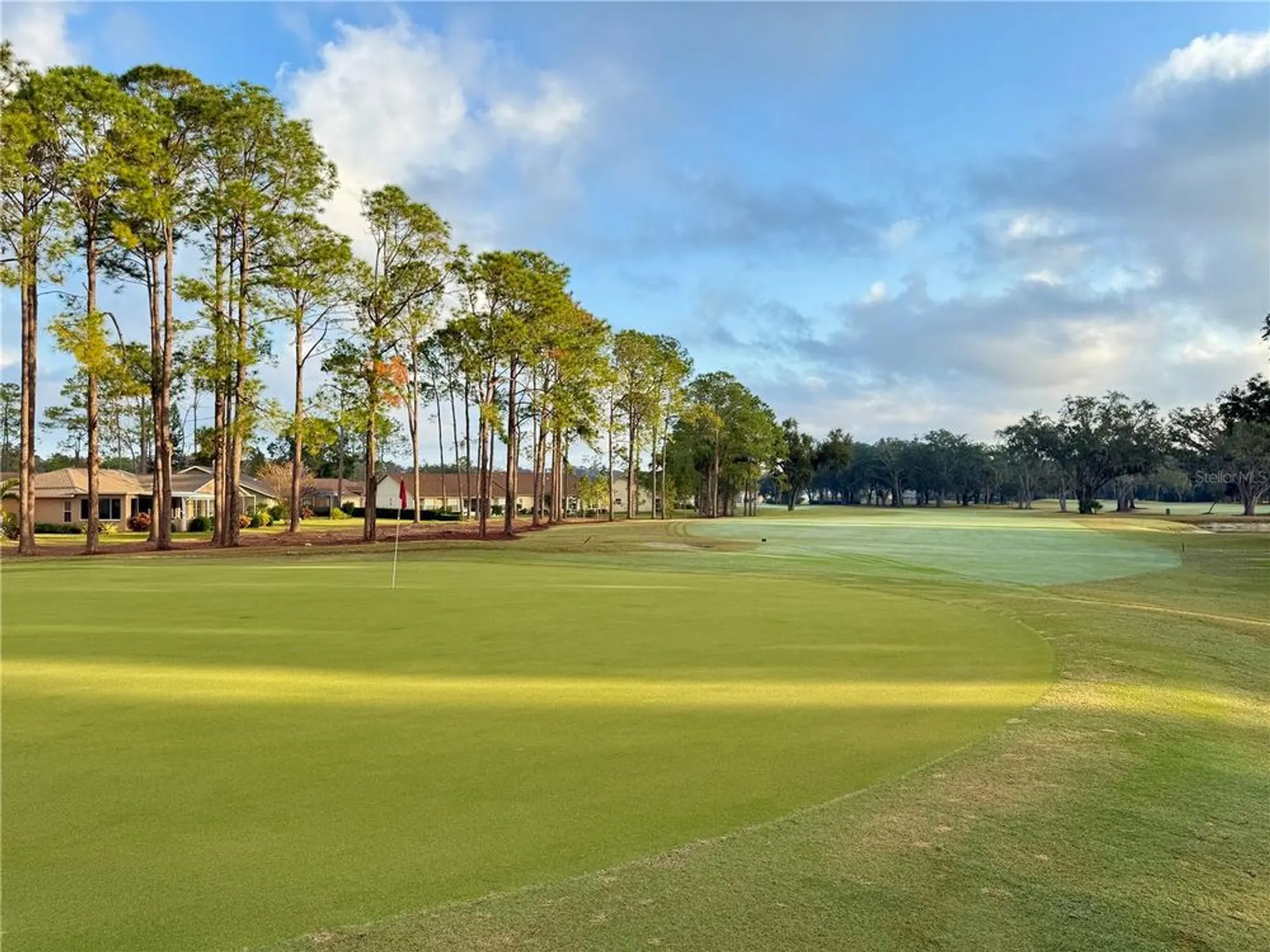 Property Slideshow image 28 of 28 | 9500 green needle dr, New Port Richey, FL, 34655