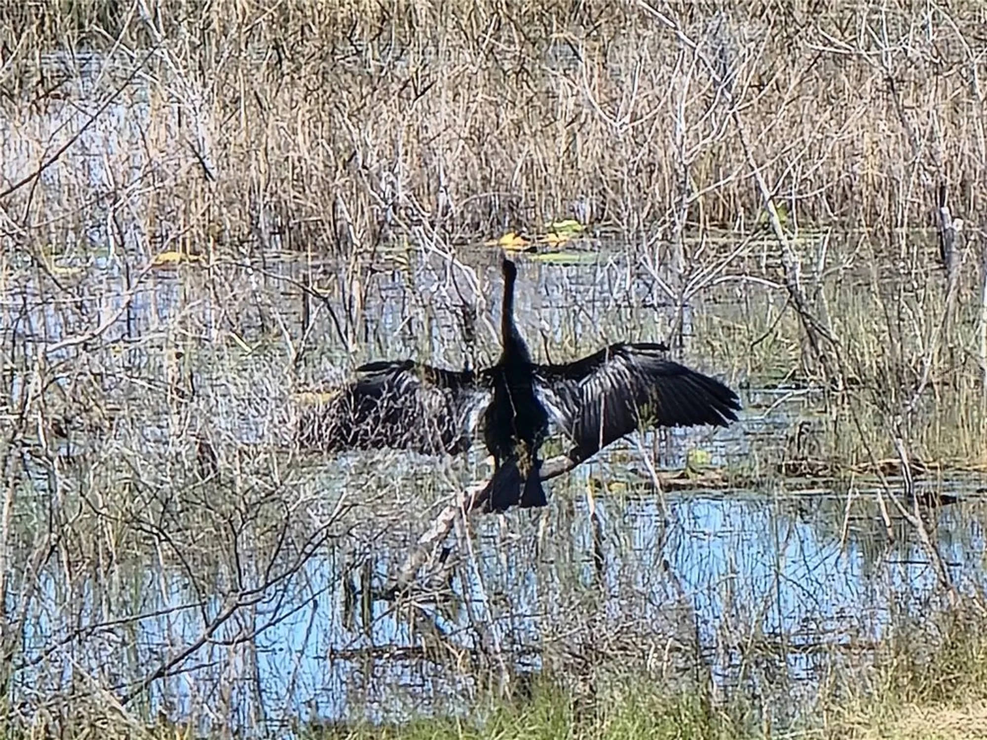 Property Slideshow image 97 of 98 | 3425 mount hope loop, Leesburg, FL, 34748