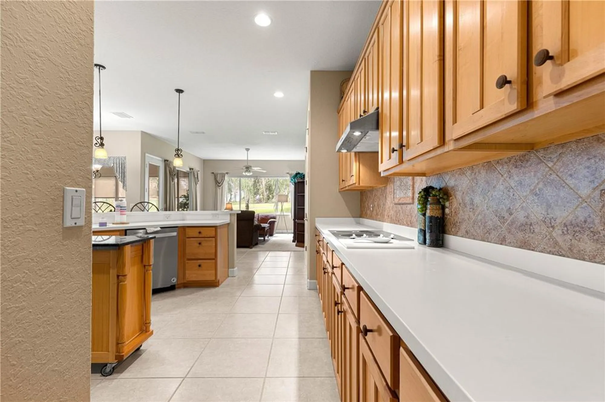 Property Slideshow image 41 of 47 | 13195 se 93rd cir, Summerfield, FL, 34491