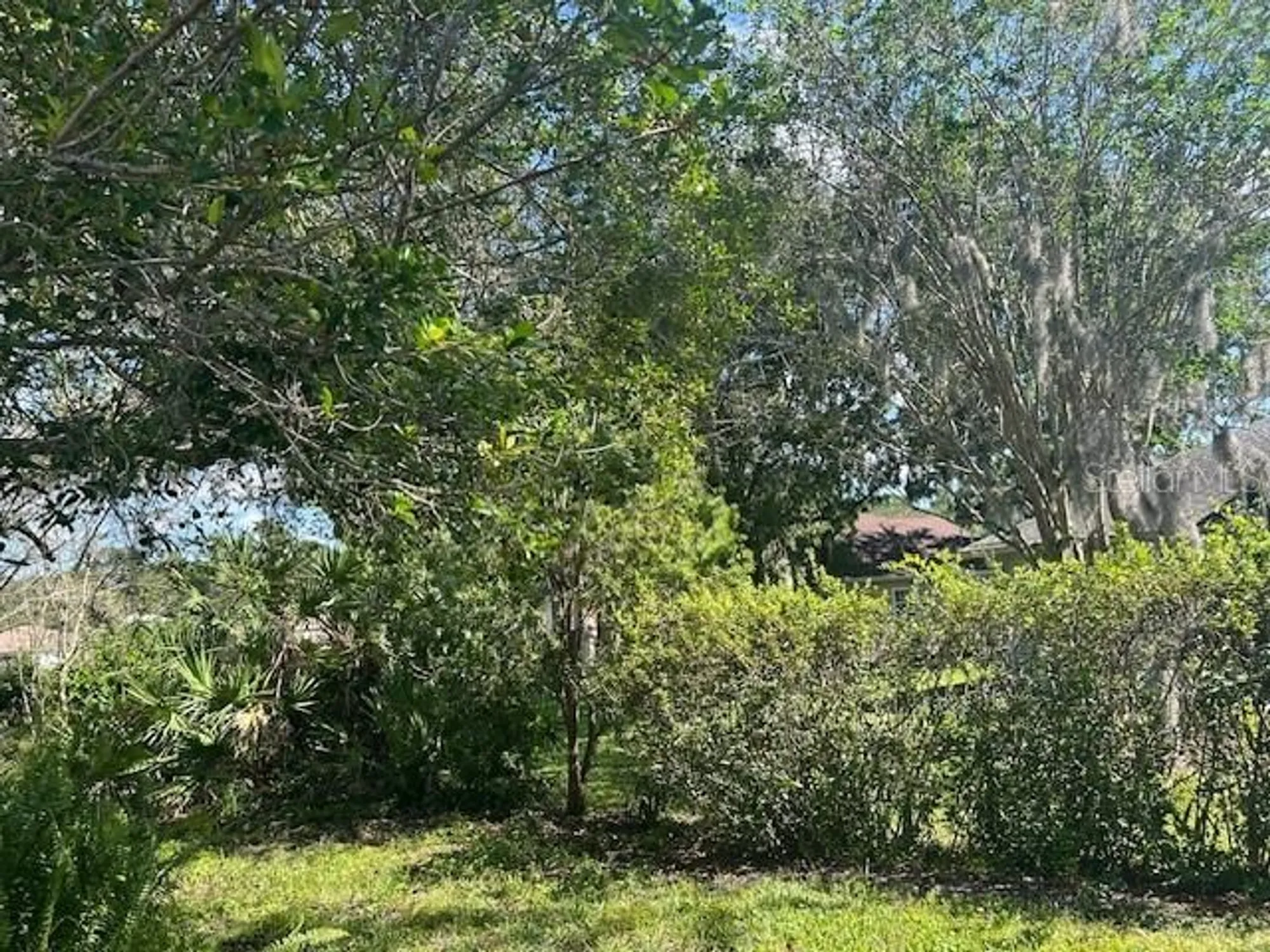 Property Slideshow image 56 of 62 | 11222 sw 73rd cir, Ocala, FL, 34476