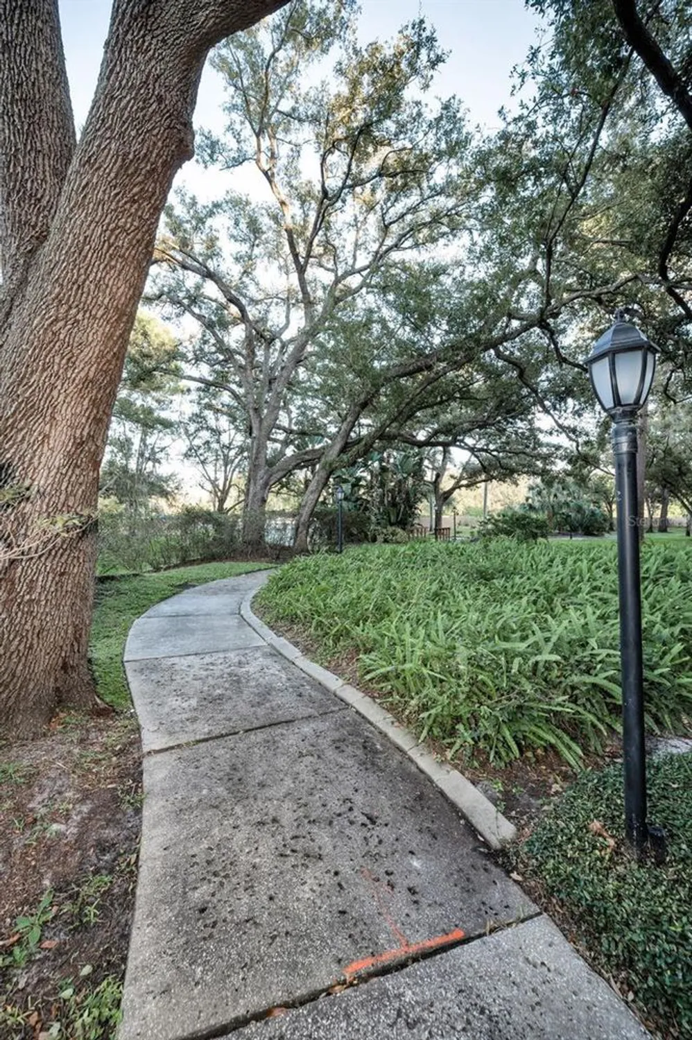 Property Slideshow image 52 of 85 | 3062 eastland blvd 105, Clearwater, FL, 33761