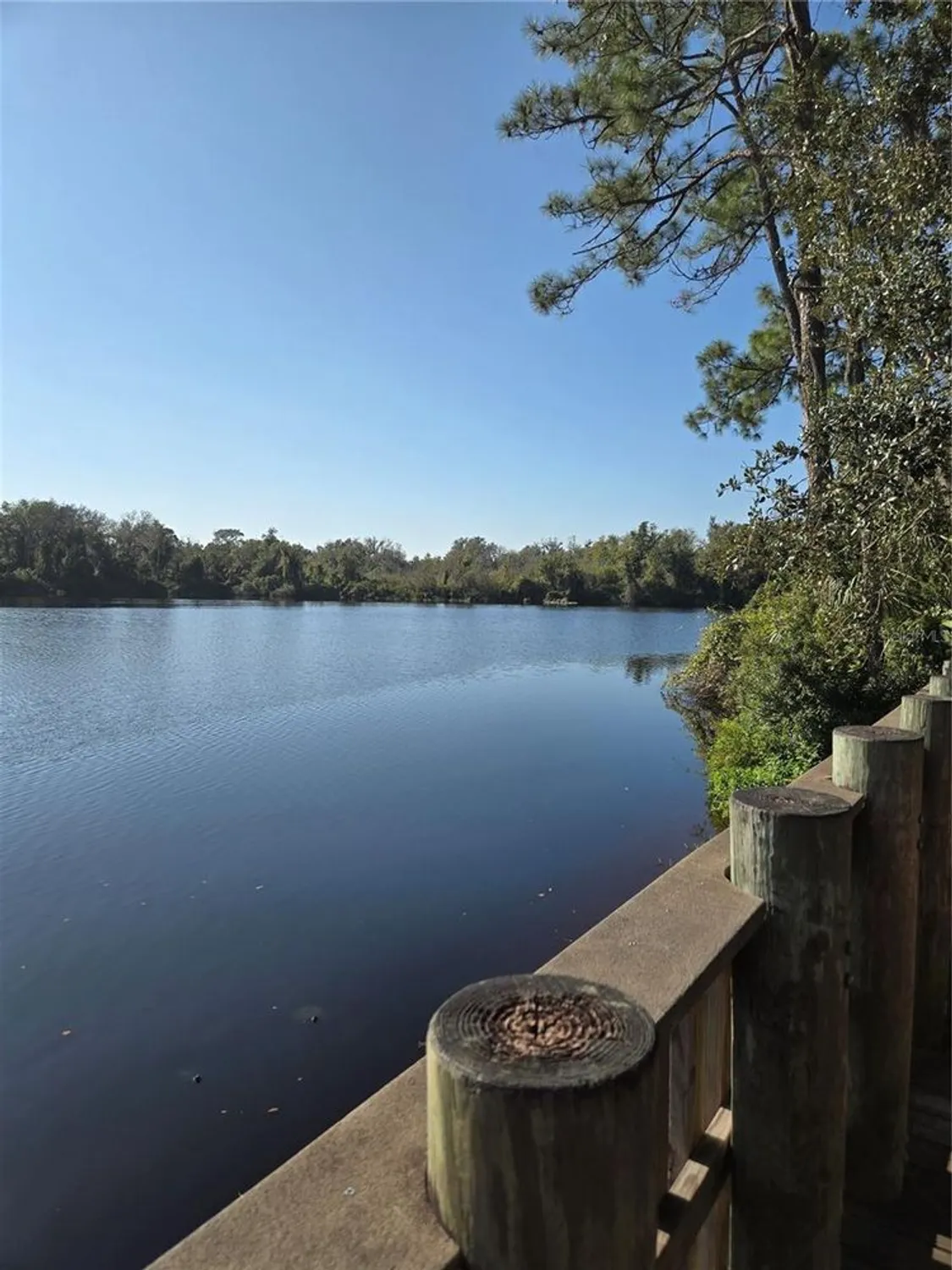 Property Slideshow image 45 of 64 | 8010 conservatory dr, Sarasota, FL, 34243