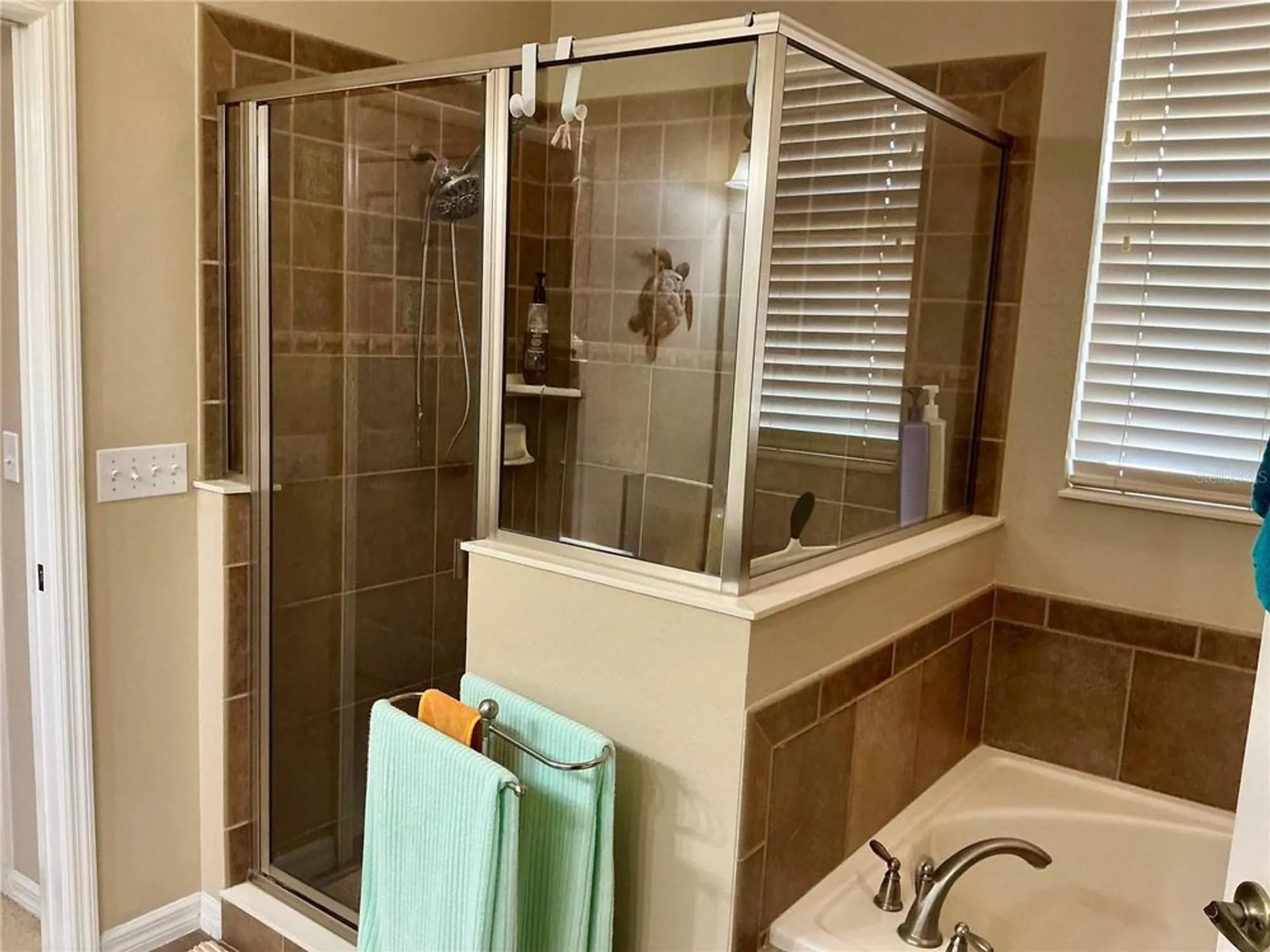 Property Slideshow image 18 of 35 | 22035 belgian ct, Mount Dora, FL, 32757