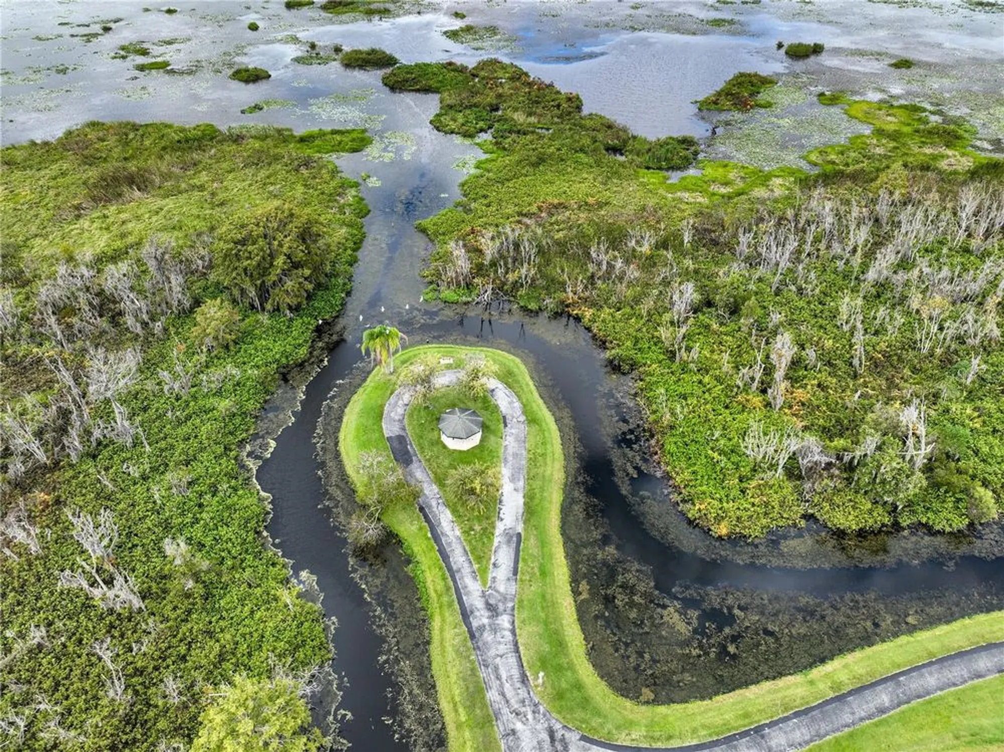 Property Slideshow image 44 of 52 | 111 sugar maple ave, Wildwood, FL, 34785