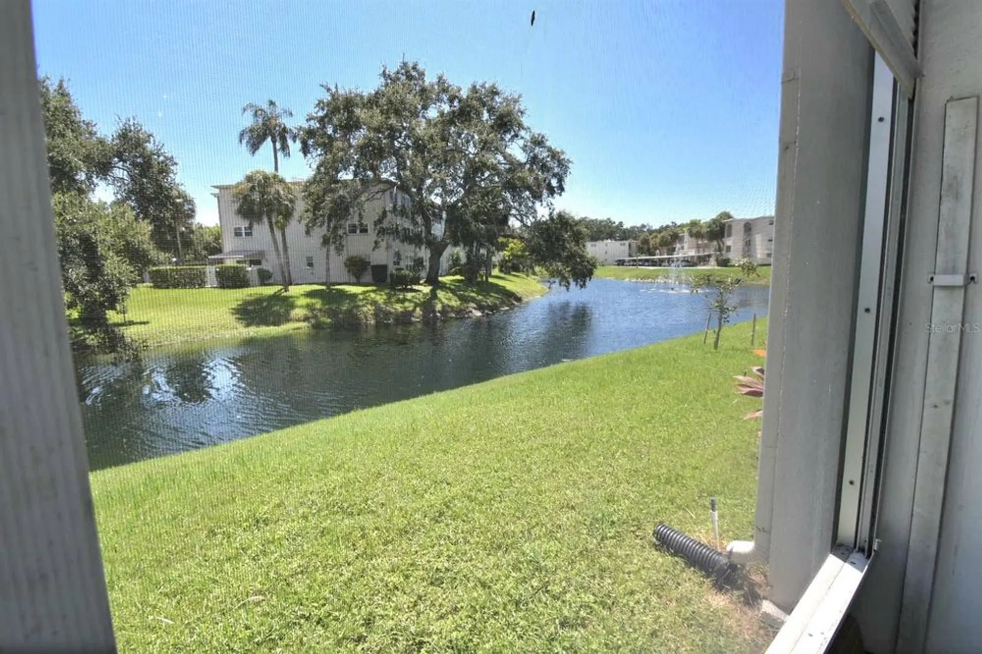 Property Slideshow image 24 of 30 | 946 virginia st apt 102, Dunedin, FL, 34698